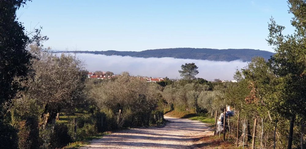 5.5 Hectares with Approved Tourism Development Rights - Alentejo, Portugal