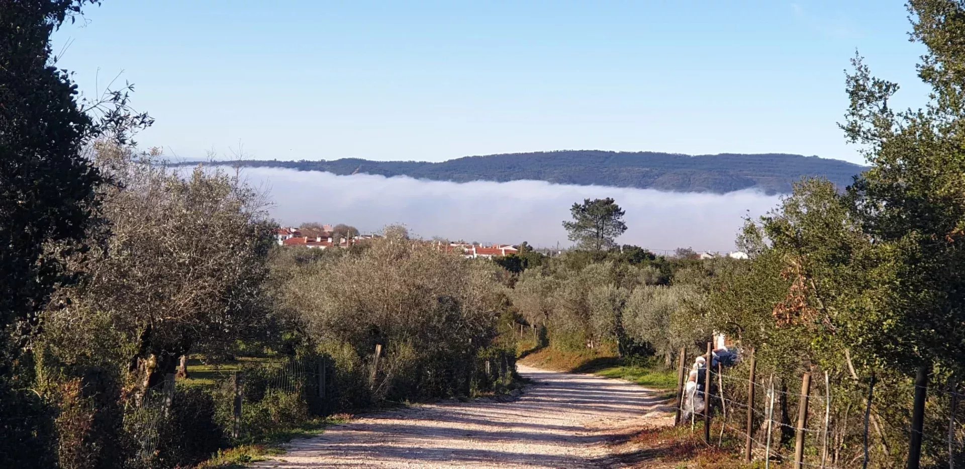 5.5 Hectares with Approved Tourism Development Rights – Alentejo, Portugal 86098860 image 1