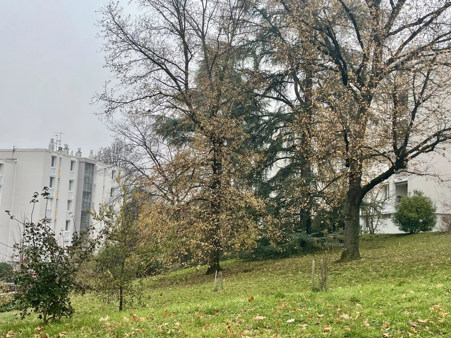 Agence immobilière de Centralym