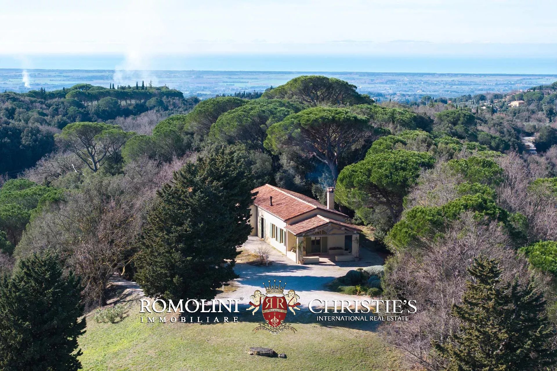 EQUESTRIAN SEA VIEW WINE ESTATE WITH VINEYARDS FOR SALE CLOSE TO BOLGHERI, TUSCANY
