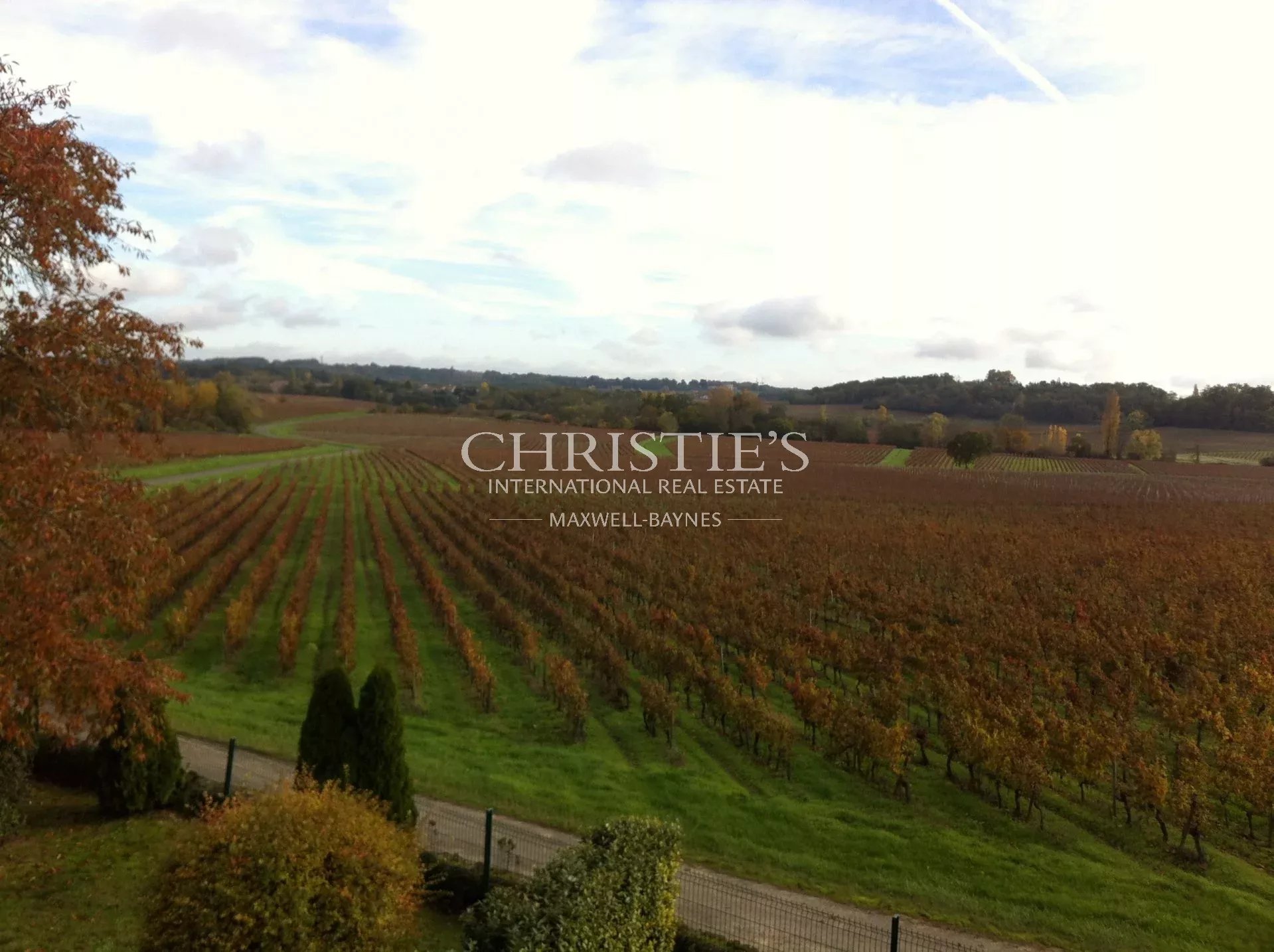 6 Bedroom Vineyard's Image 11