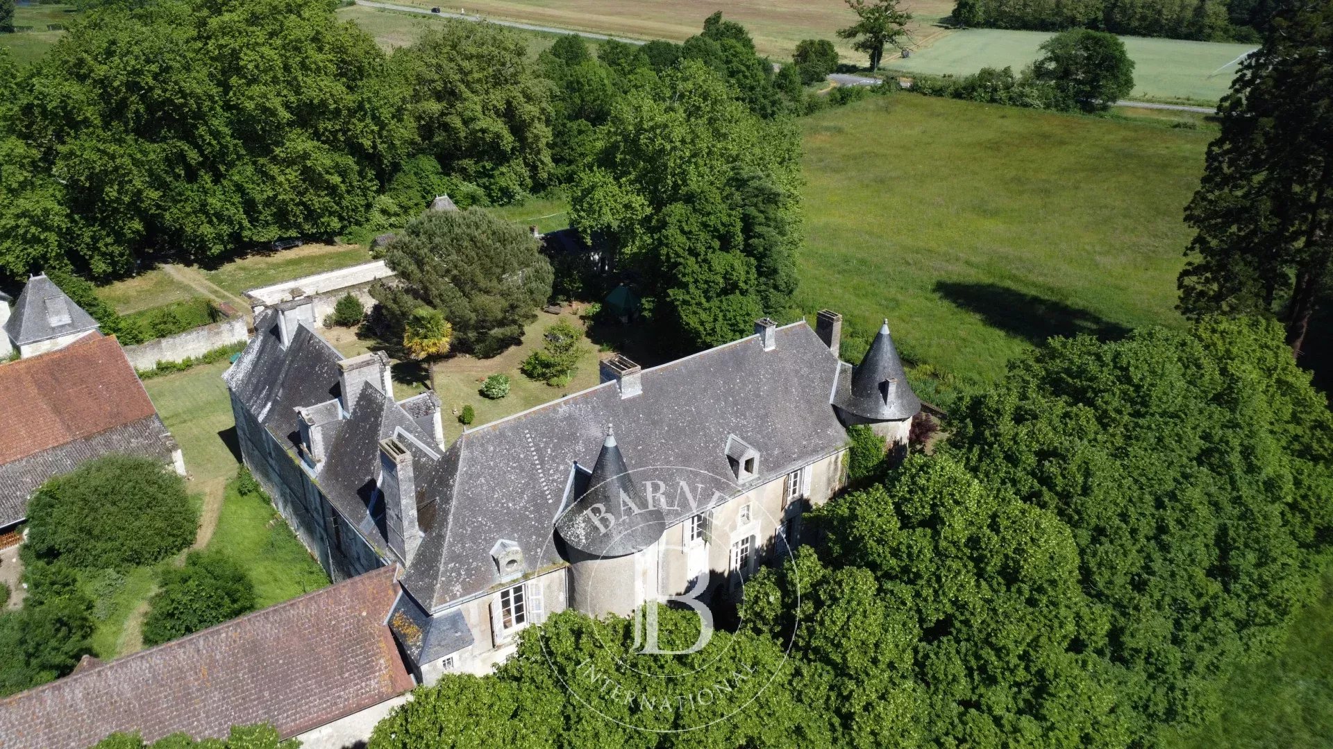 Châtellerault  - Château 18 Pi&egrave;ces 8 Chambres - picture 7
