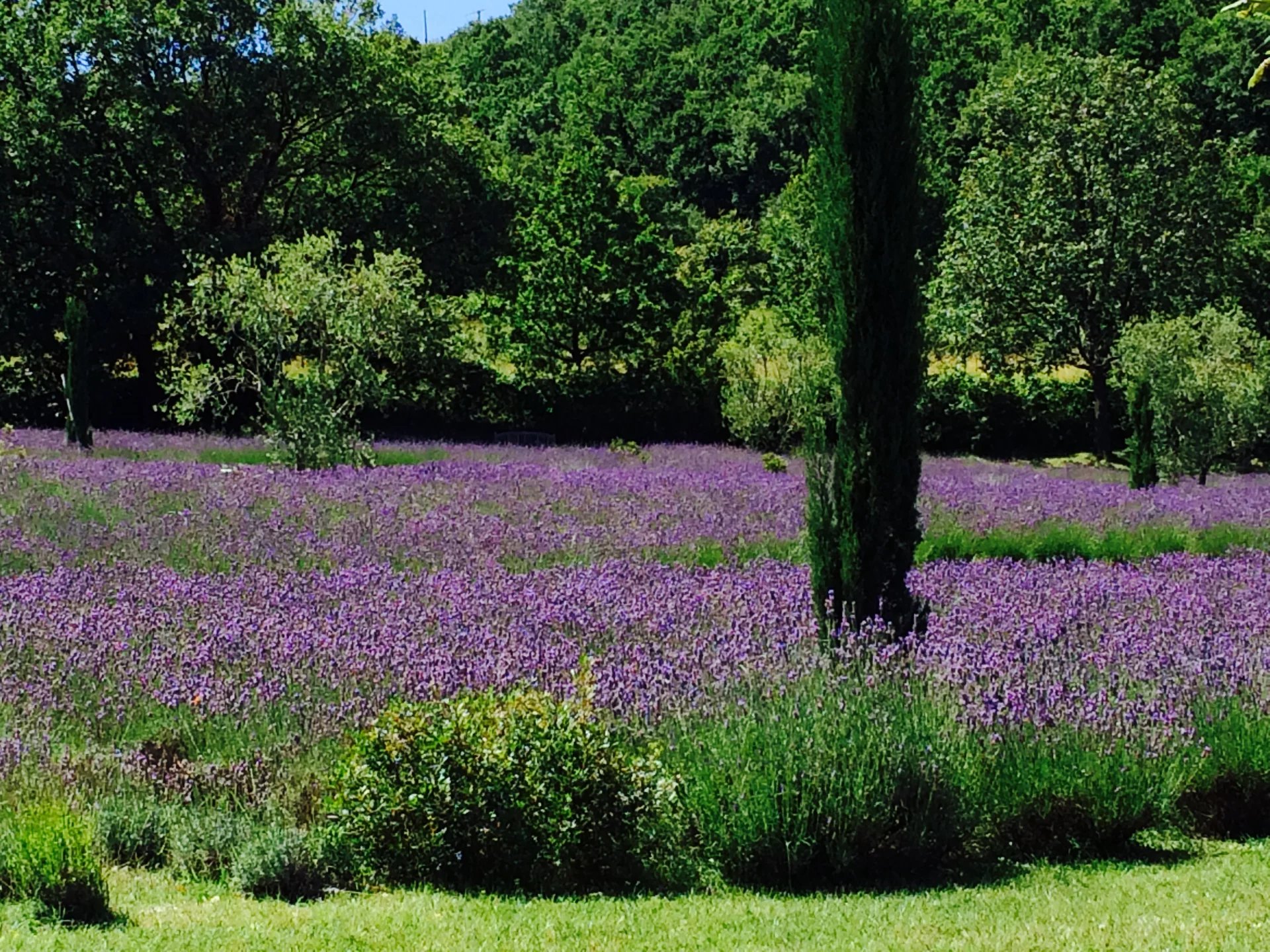 Magnificent property - Saint Vallier de Thiey