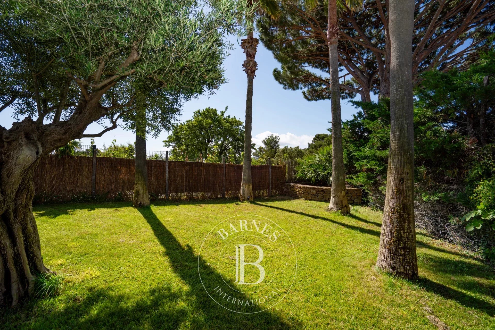 Ev Grimaud - picture 8