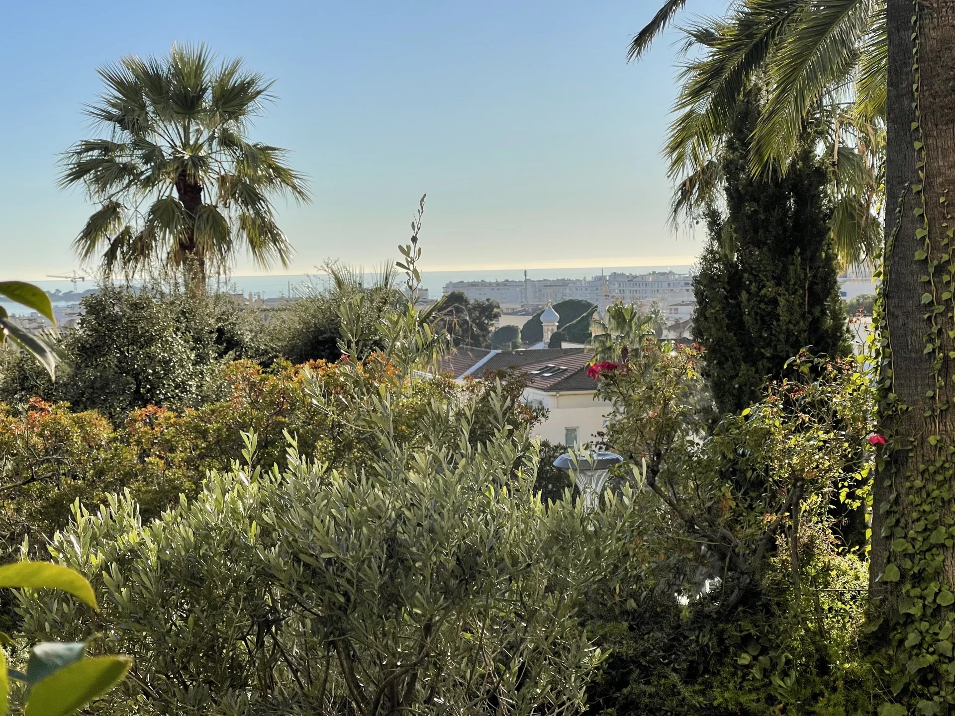 CANNES BASSE CALIFORNIE (délégation) VUE MER