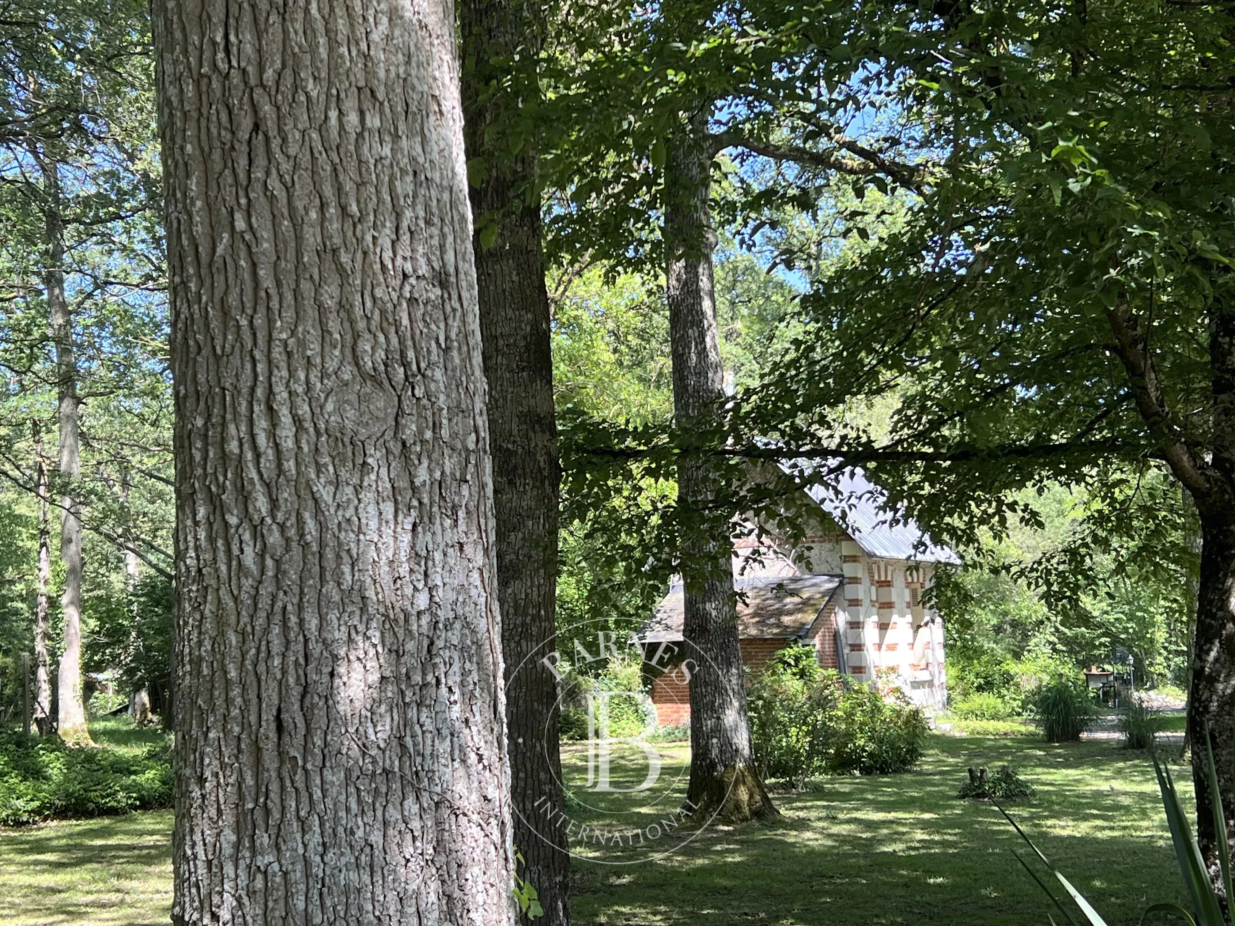 Propriété Charentilly  -  ref 86881275 (picture 3)
