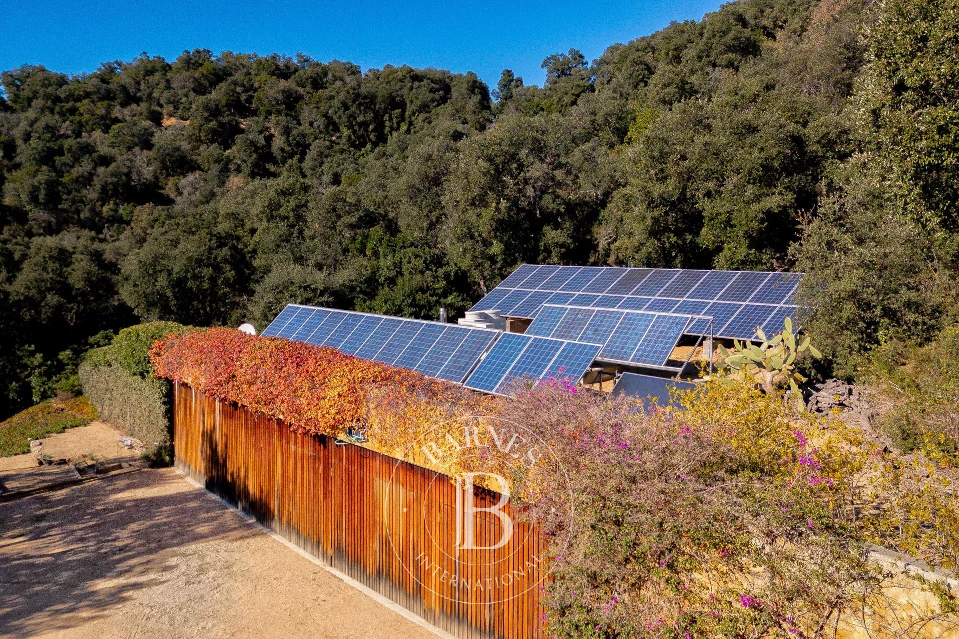 Çiftlik Calonge - picture 33