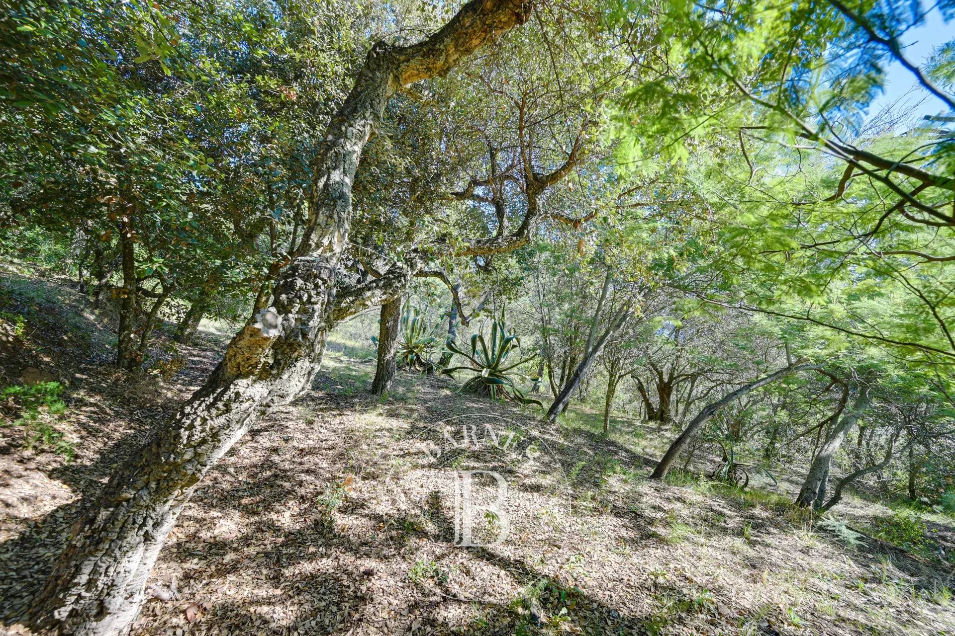 Arsa Begur - picture 23