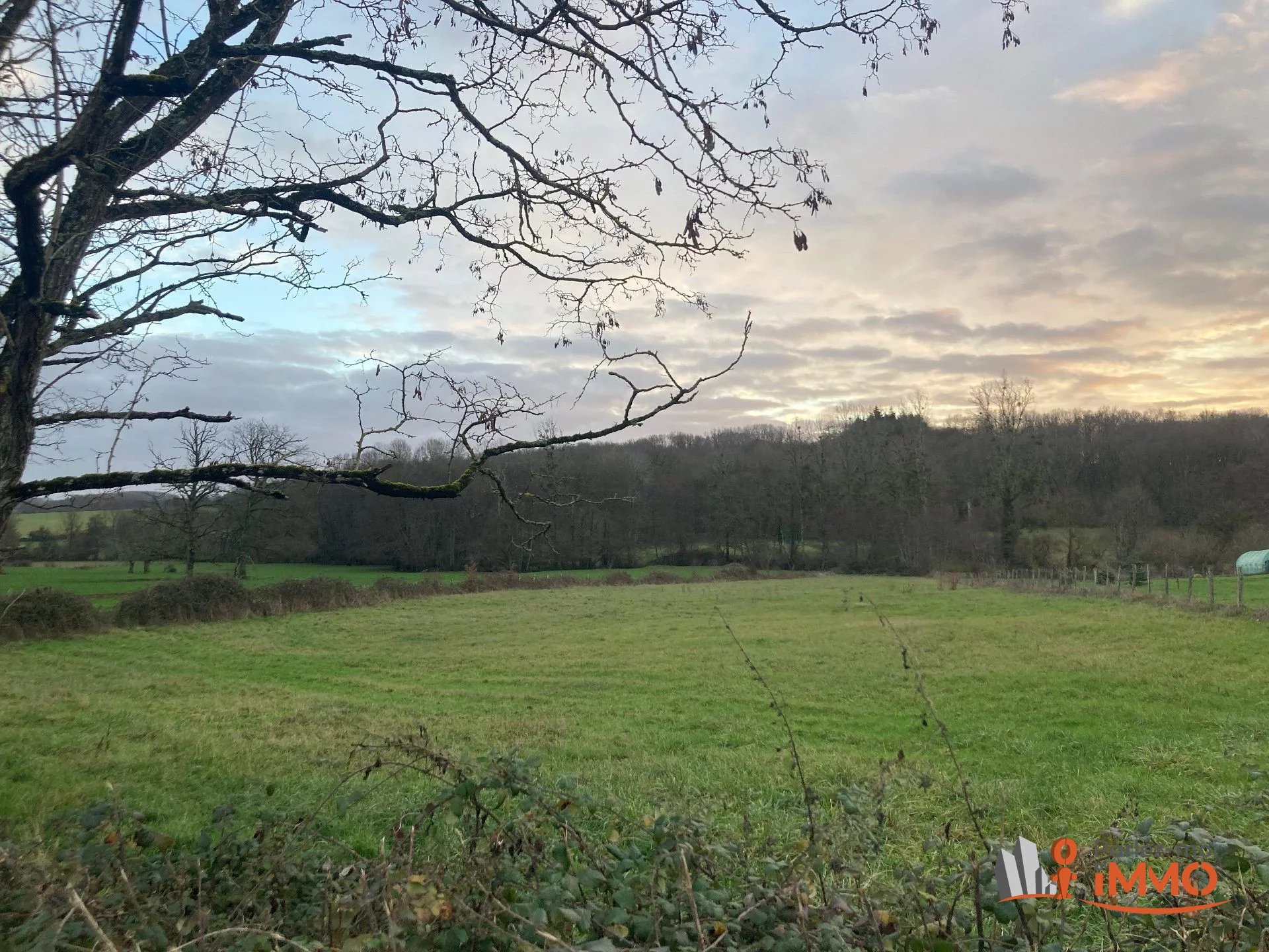 Vente Terrain constructible Treigny-Perreuse-Sainte-Colombe