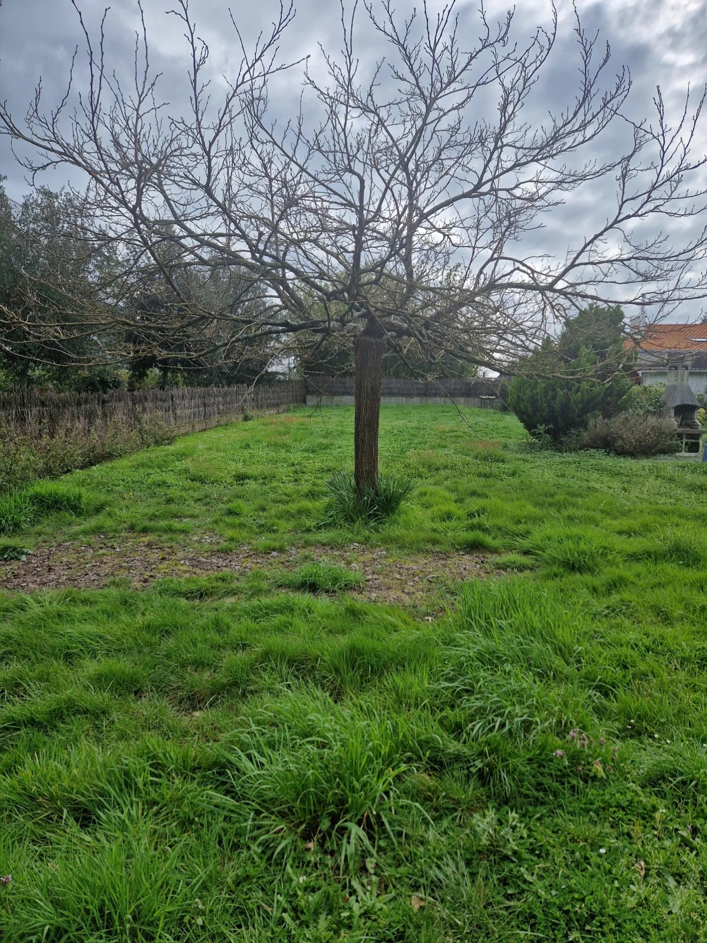 Vente Terrain Rezé
