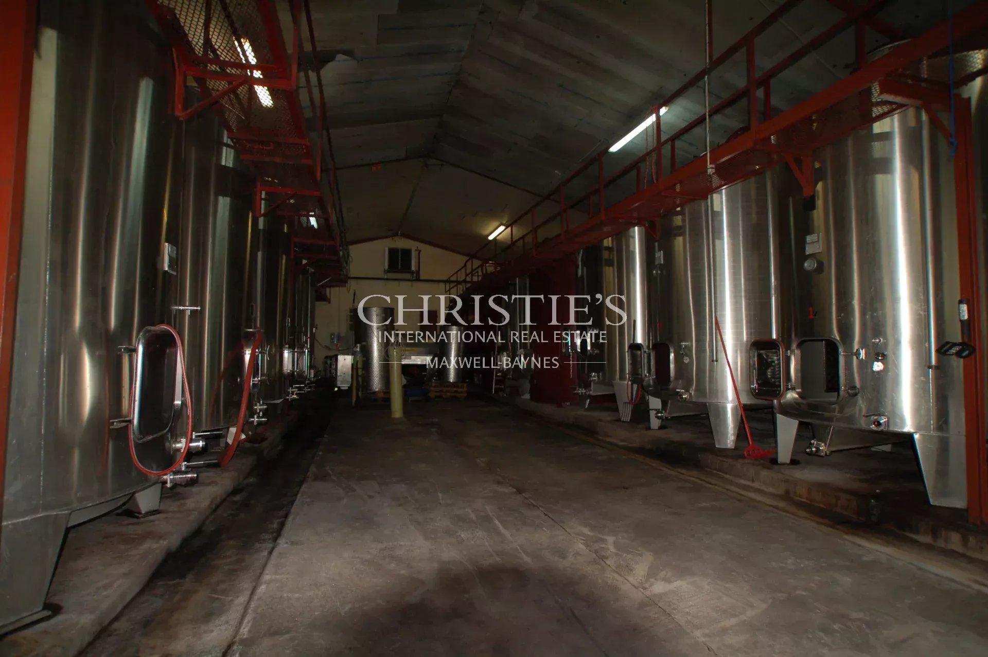 Vineyard's Image 7