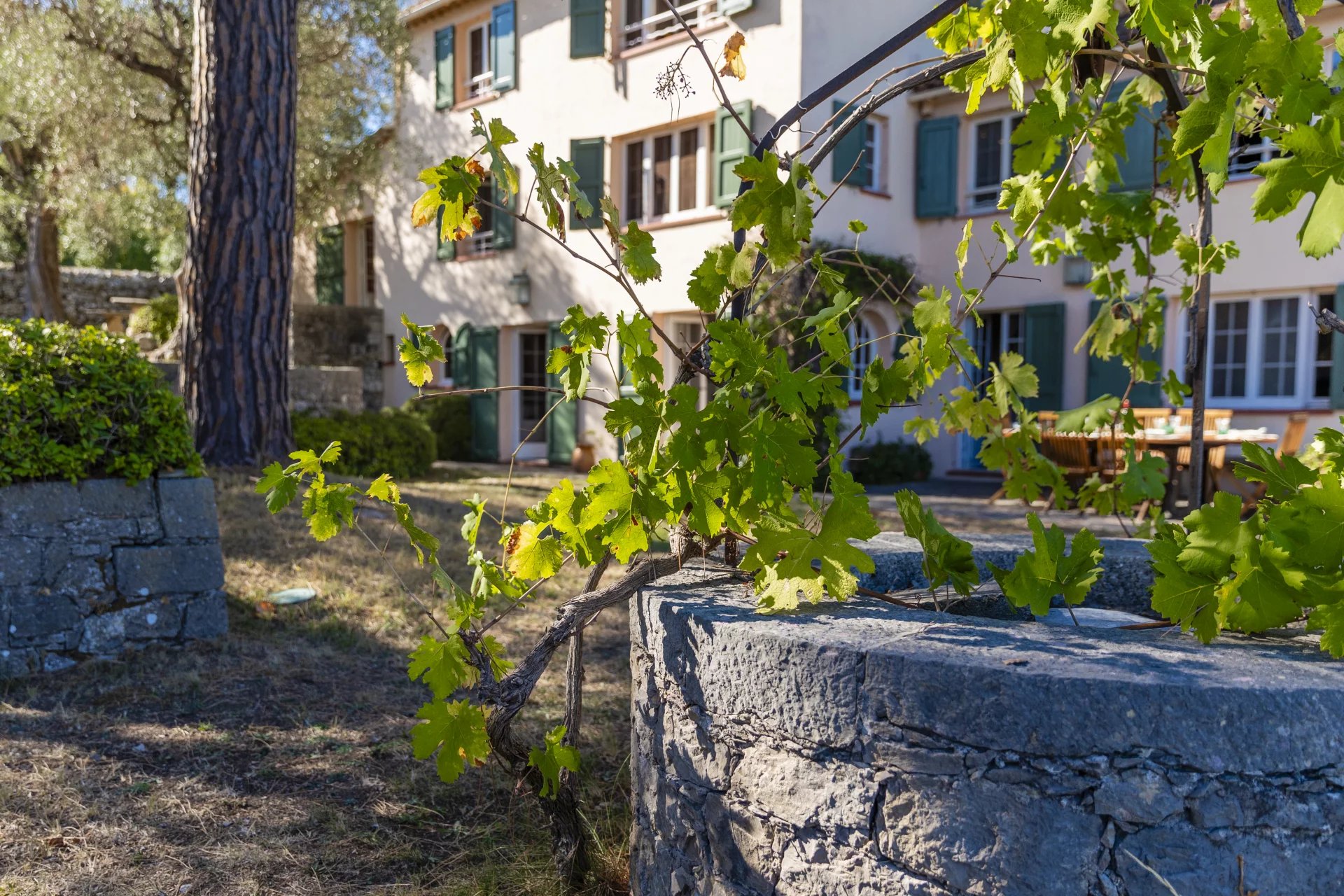 Beautiful house with swimming pool and large grounds - Grasse St Jacques Beautiful house with swimming pool and large grounds - Grasse St Jacques