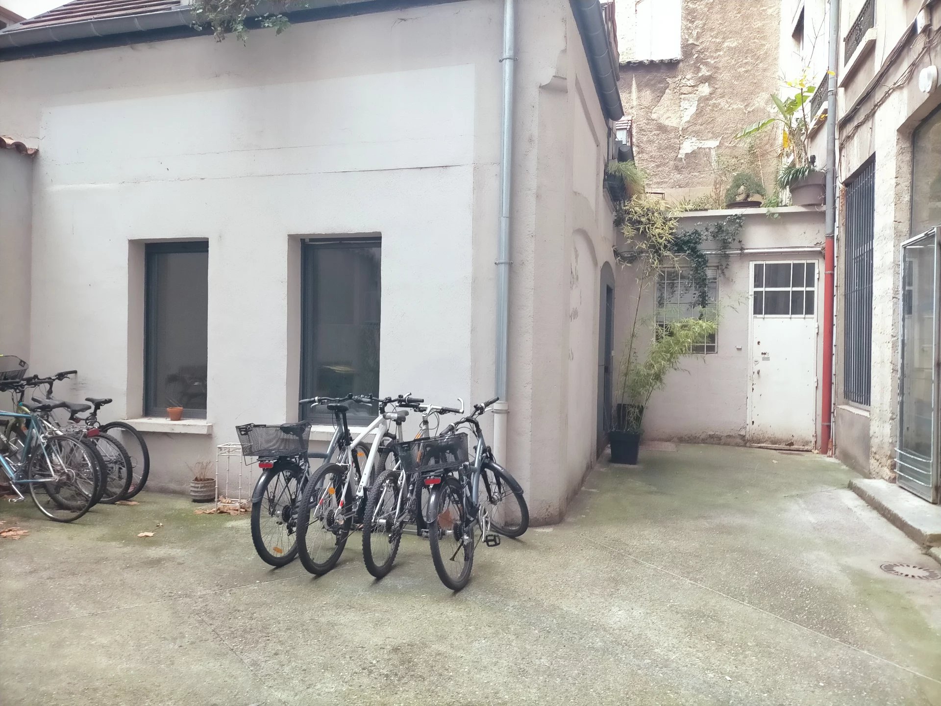 5066091 Location Lyon 2ème