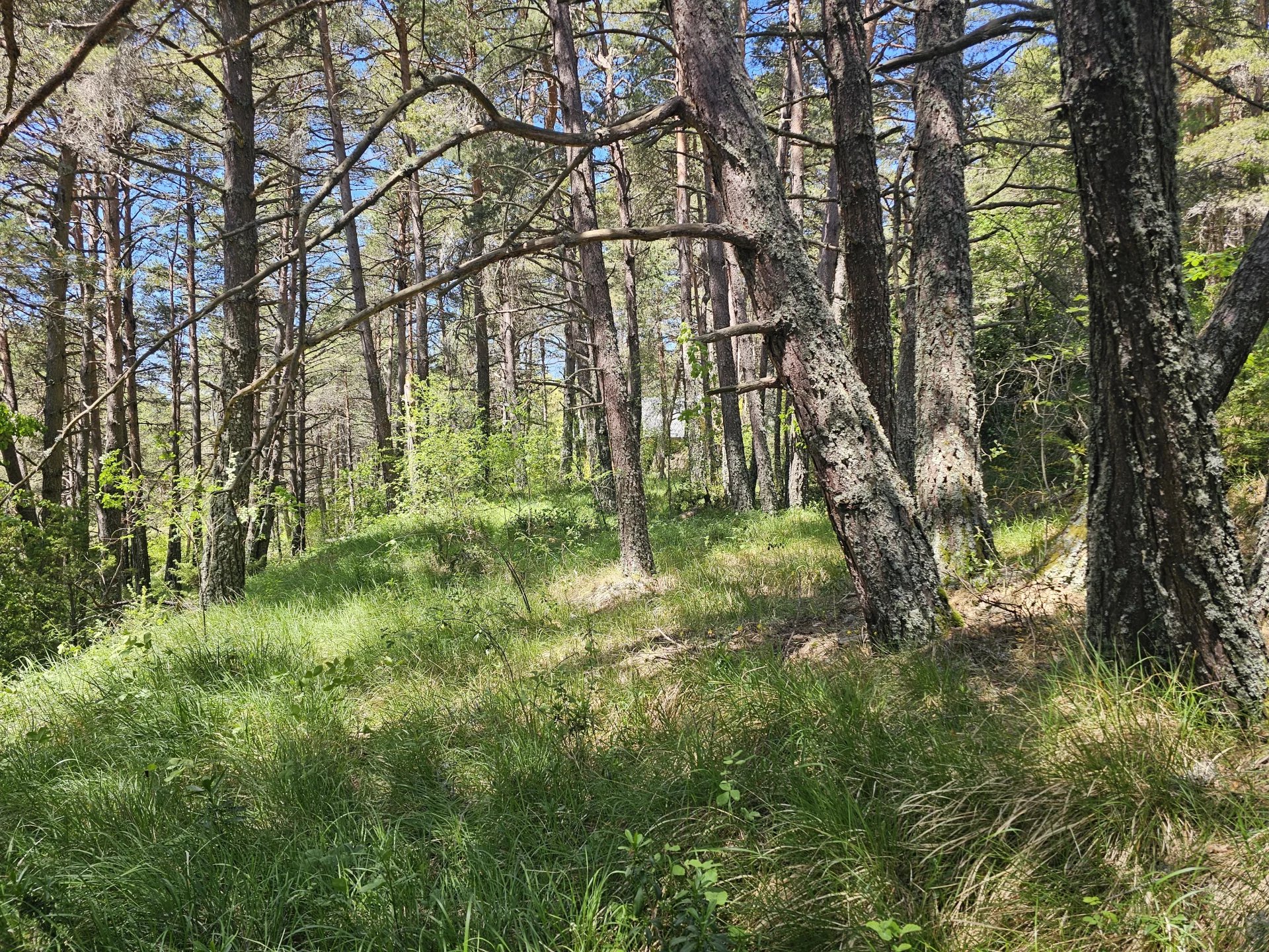 Terrain constructible  2 planches