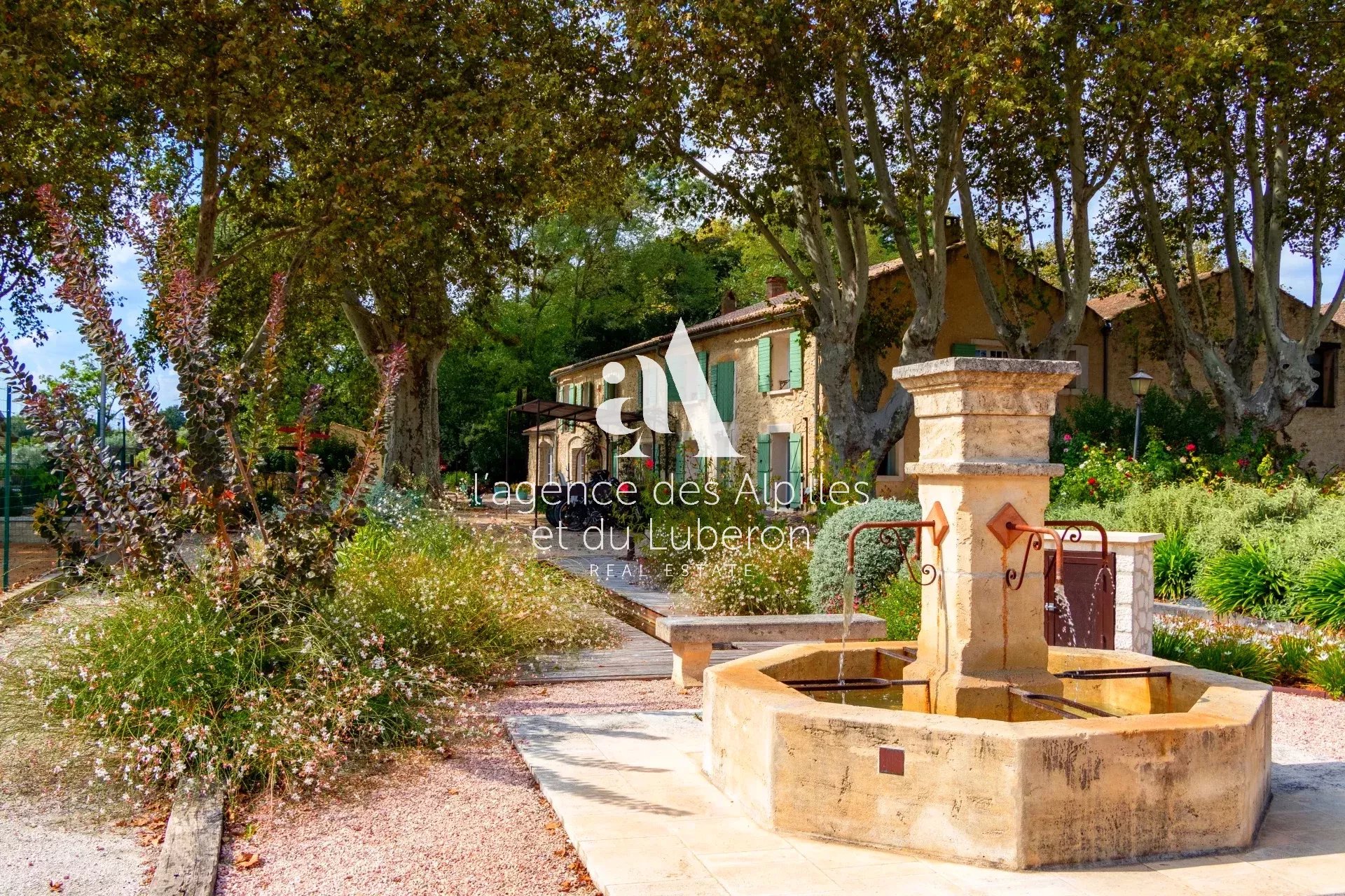 à vendre maison Saint Andiol Alpilles jardin