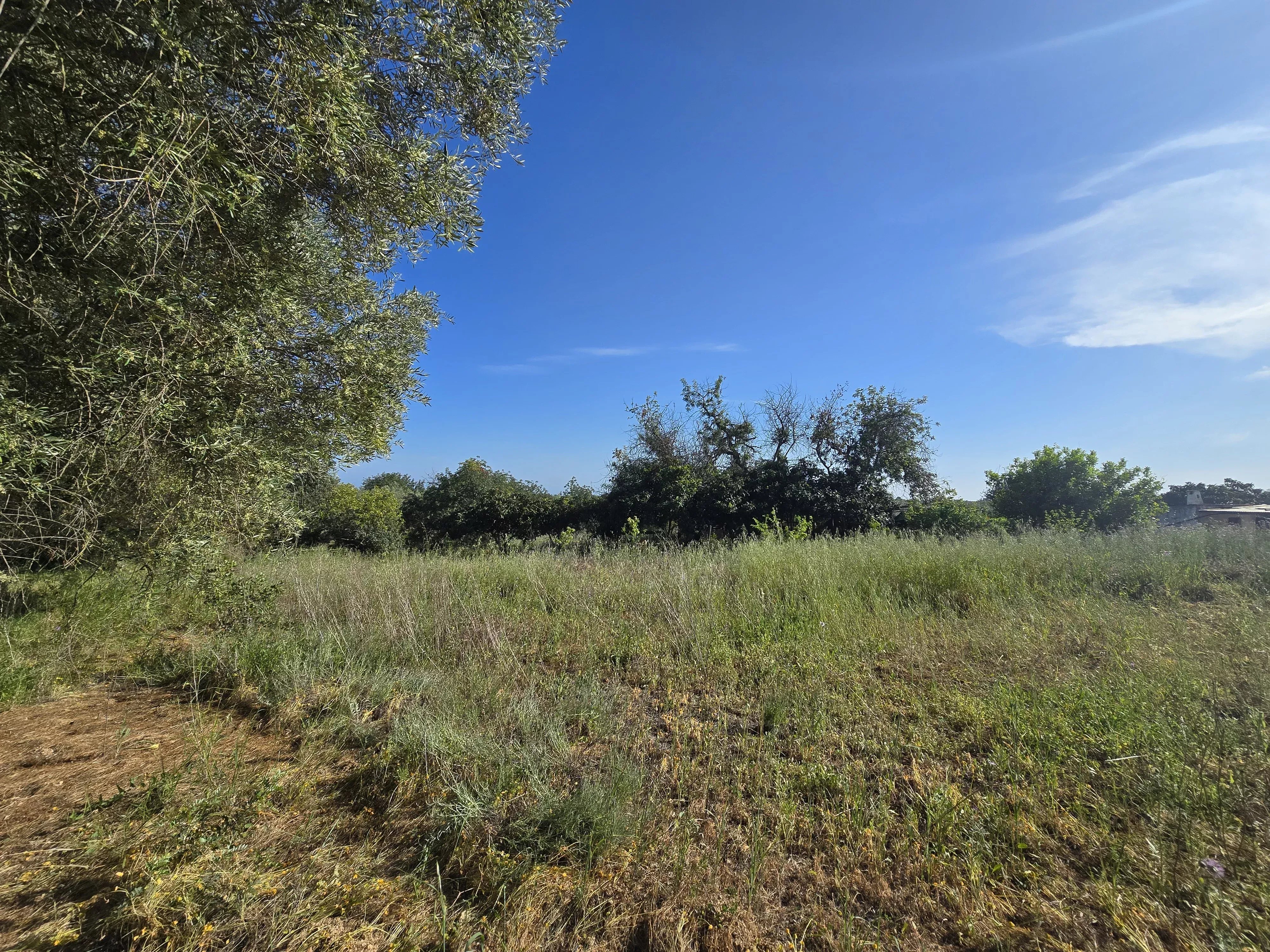 6 room Farmhouse with 1.5 hectares of land and sea view 86949039 image 46
