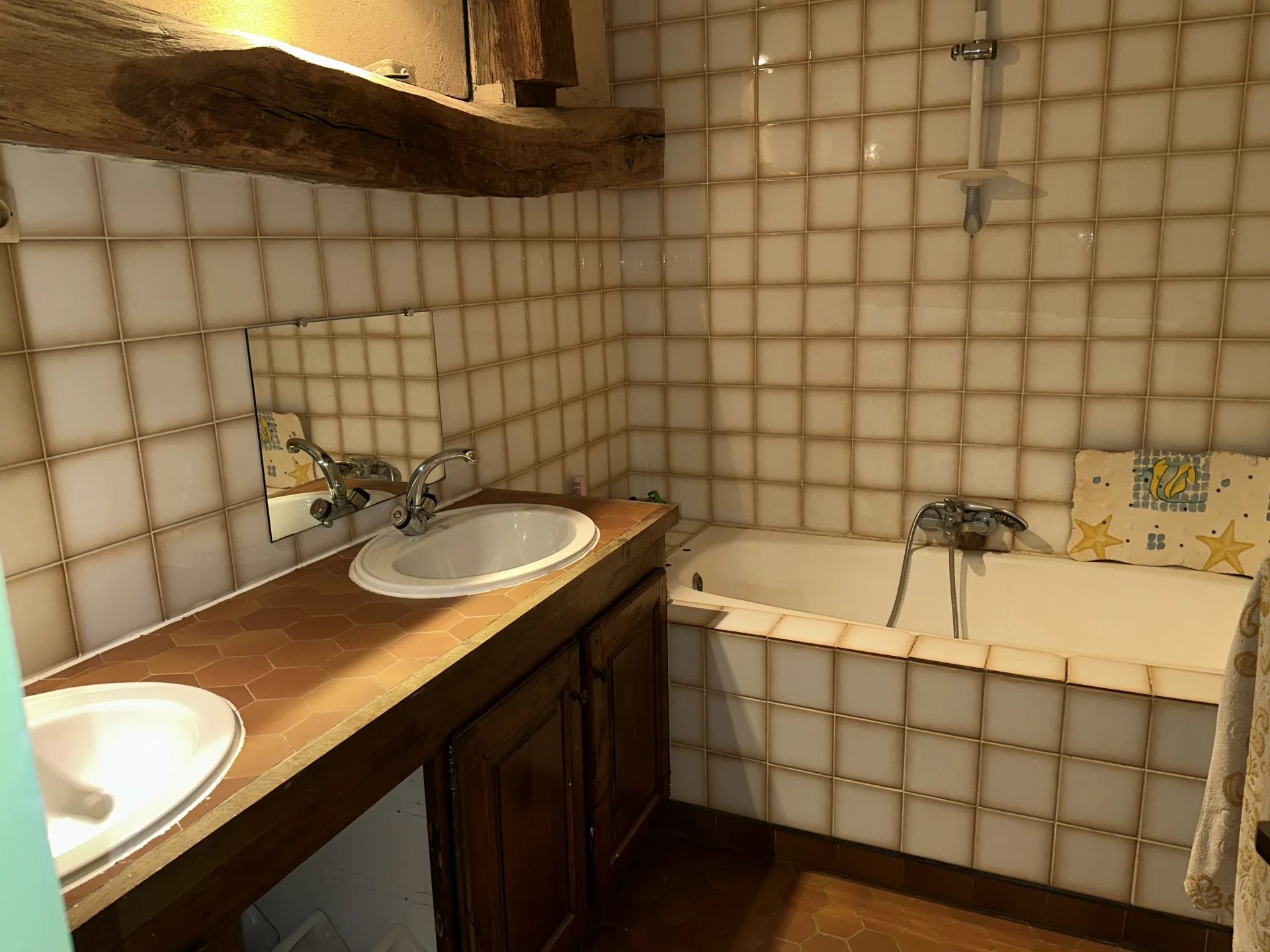 Vente Propriété Sommières-du-Clain