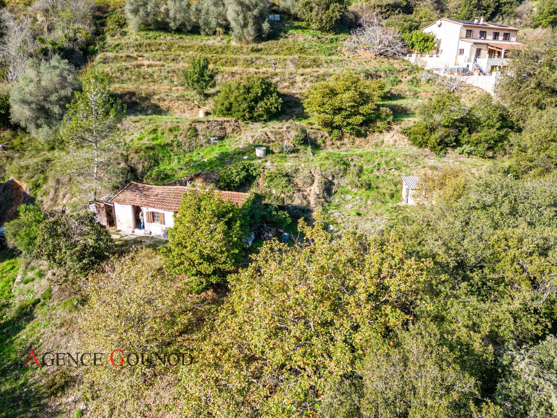 Vente Ruine Nice Madeleine