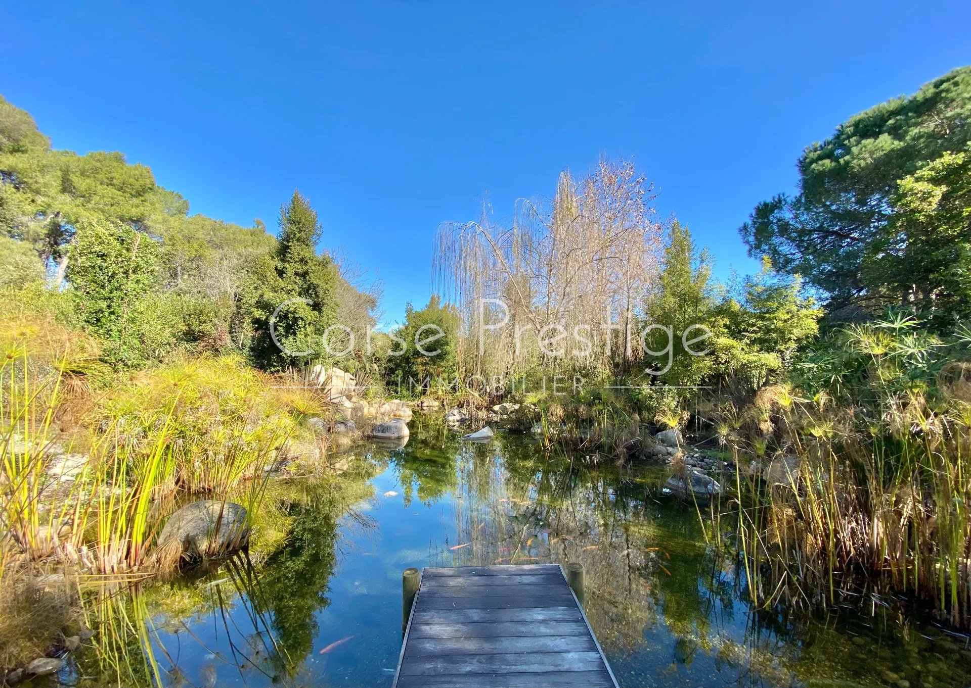 private property with sea view in porticcio - ajaccio gulf image5