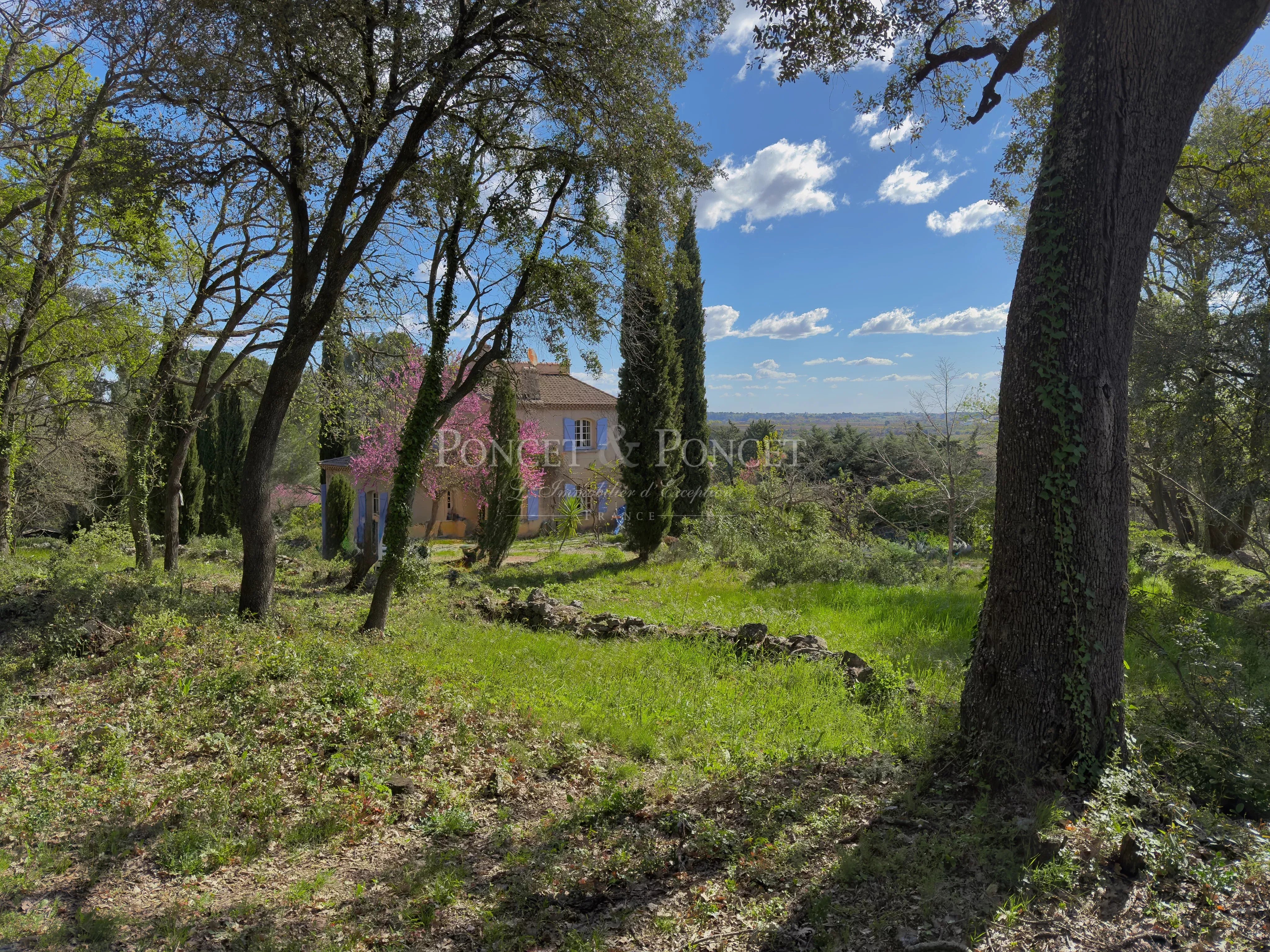 Troisième photo