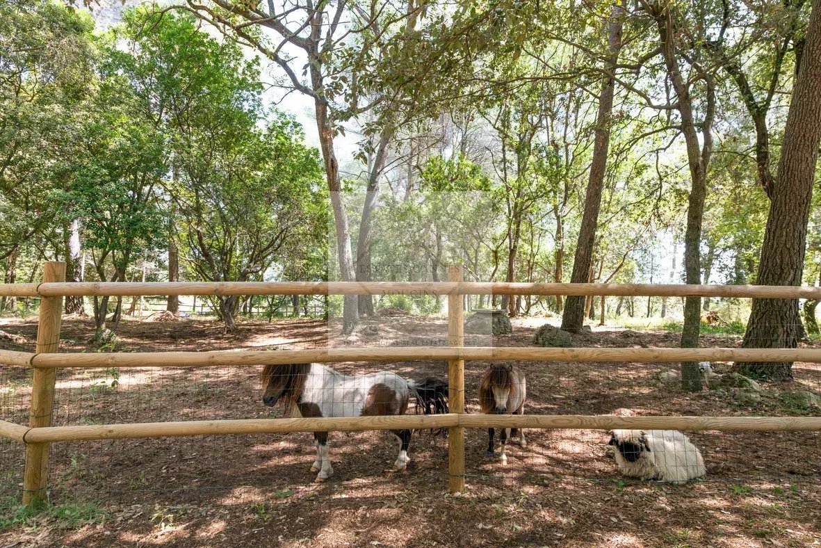 Villa d’exception à louer à l’année — photo 46