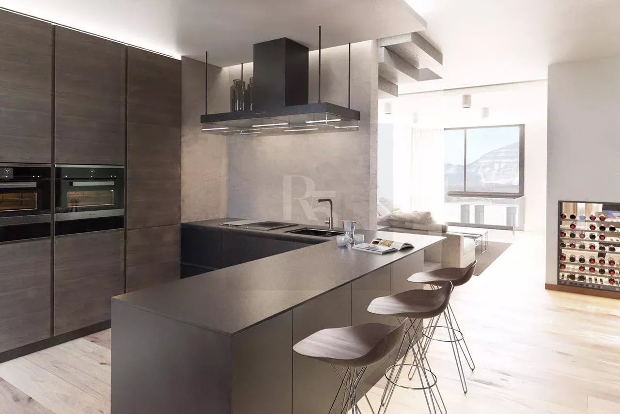 Magnificent 244m2 livable townhouse in the heart of Champel — photo 3