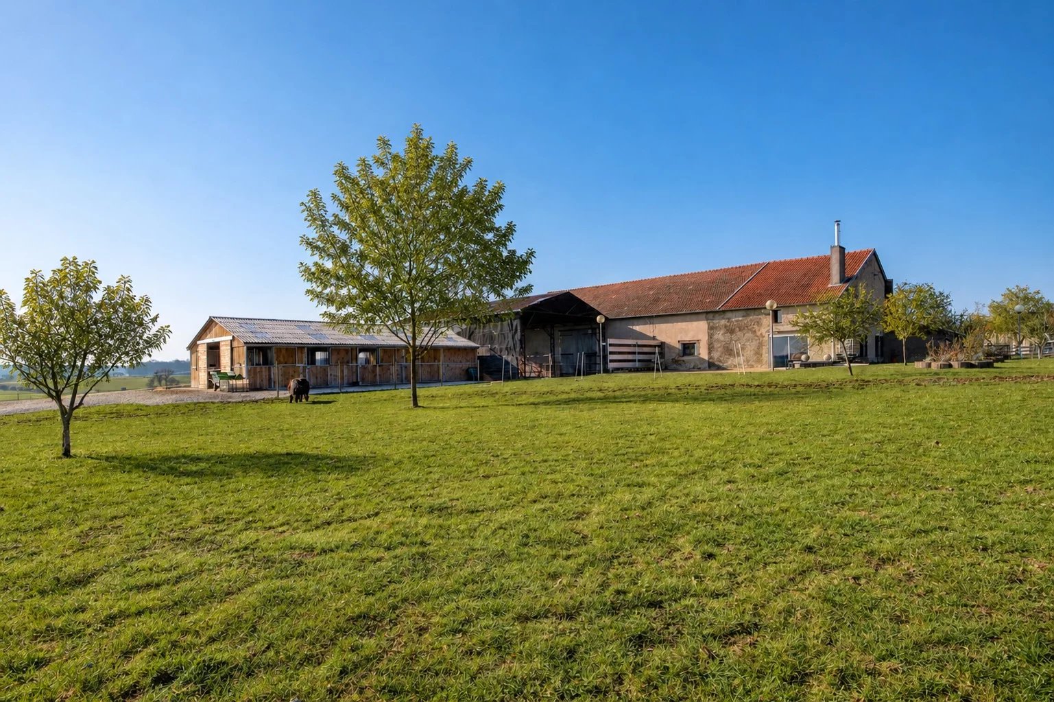 For Sale Equestrian estate | Lachaussée - picture 1