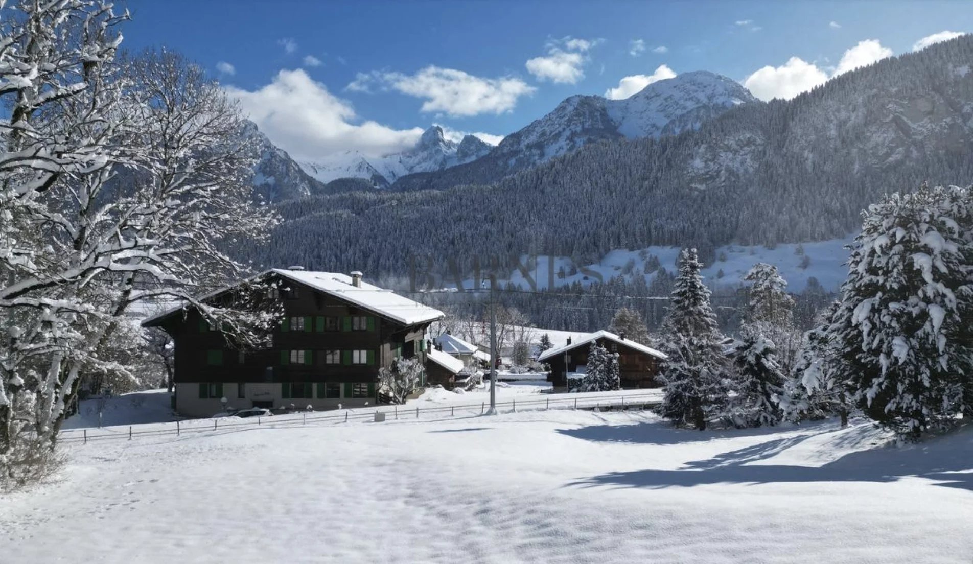 Votre duplex dans l'Oberland Bernois, la magie de la Suisse