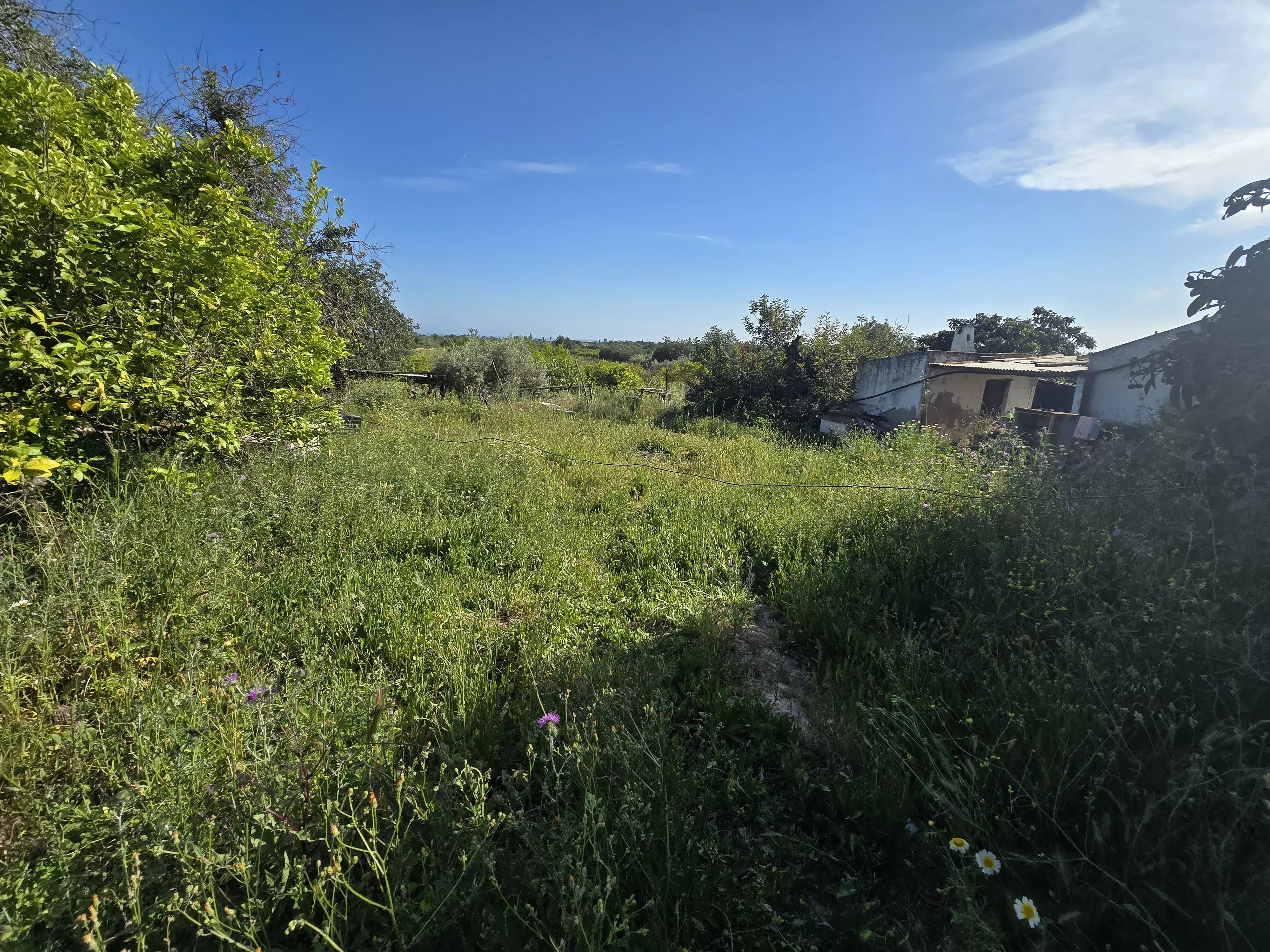 6 room Farmhouse with 1.5 hectares of land and sea view 86949039 image 44