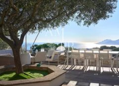 Panoramic sea view - Le Cannet — photo 3 of 7