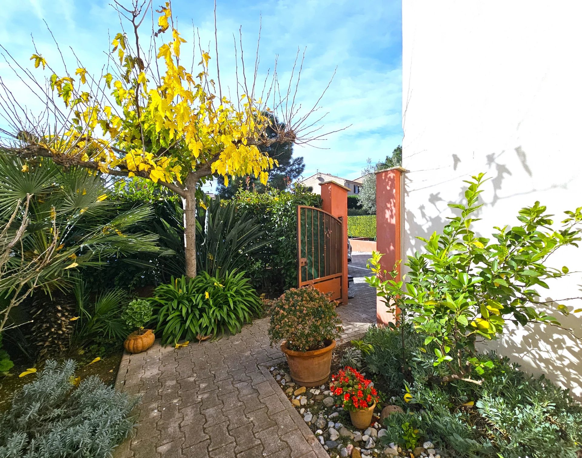 Agence immobilière de 