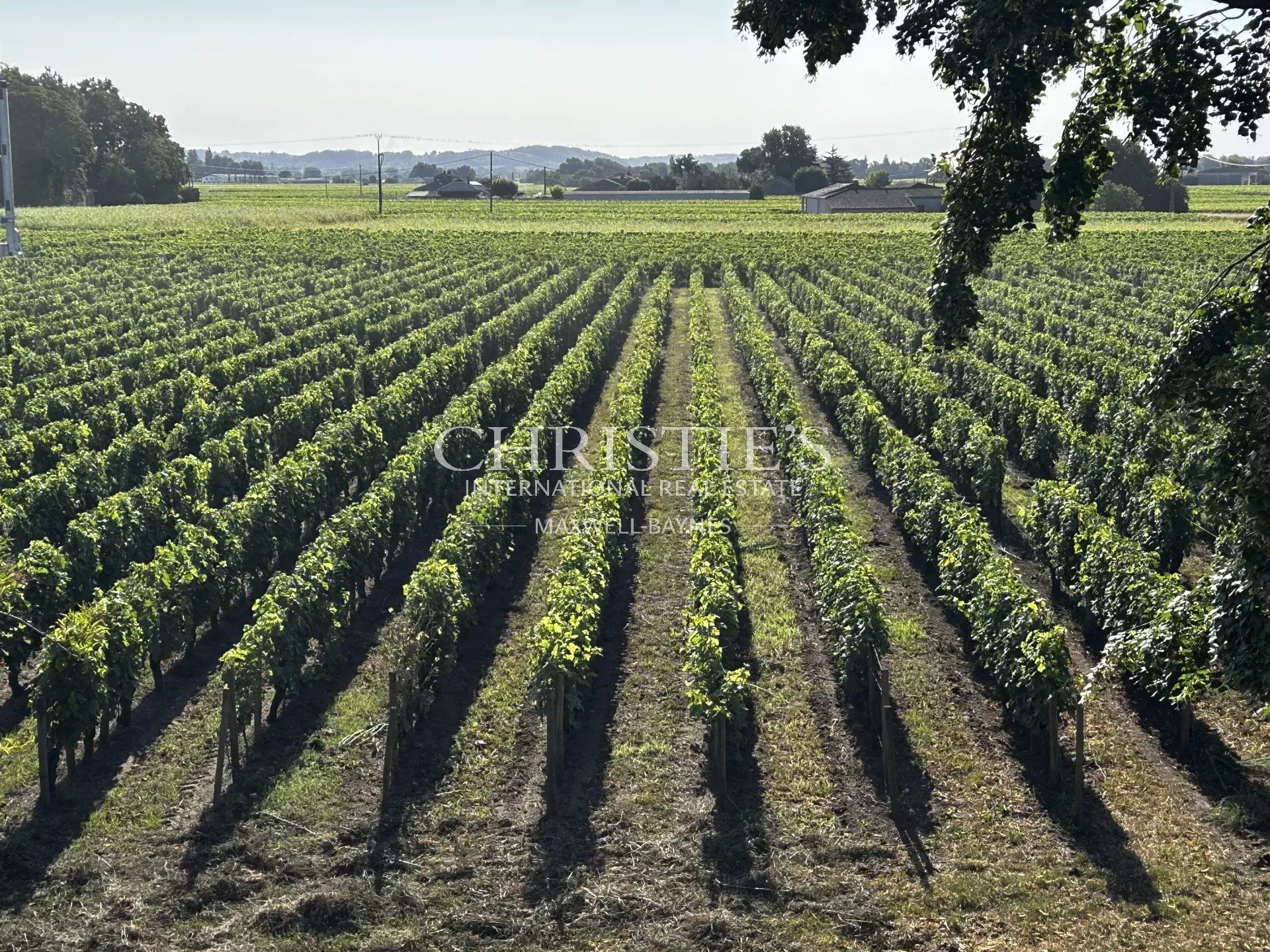 2 Bedroom Vineyard's Image 6