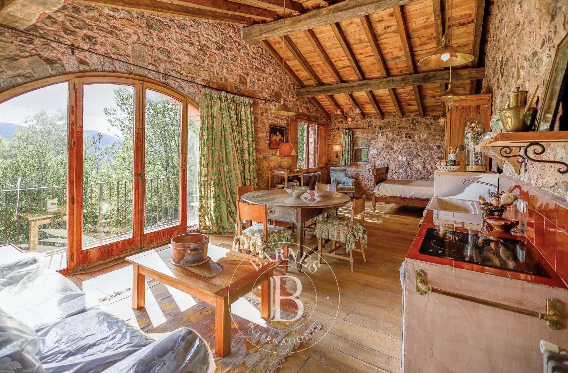 Çiftlik Camprodón - picture 17