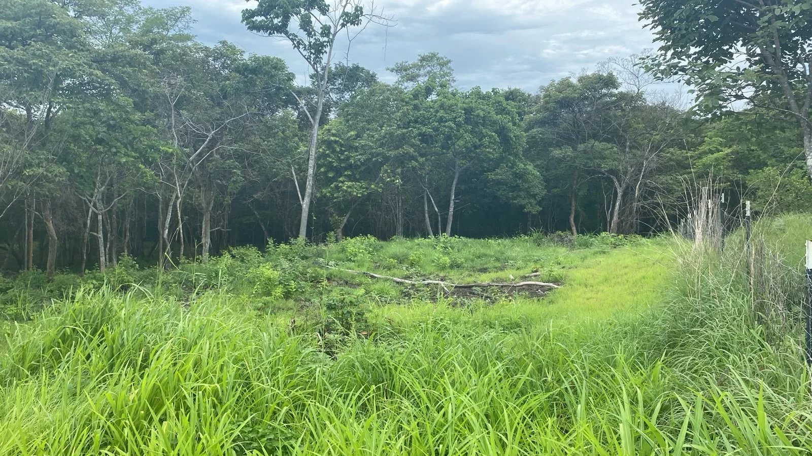 Sale Building land Cartagena