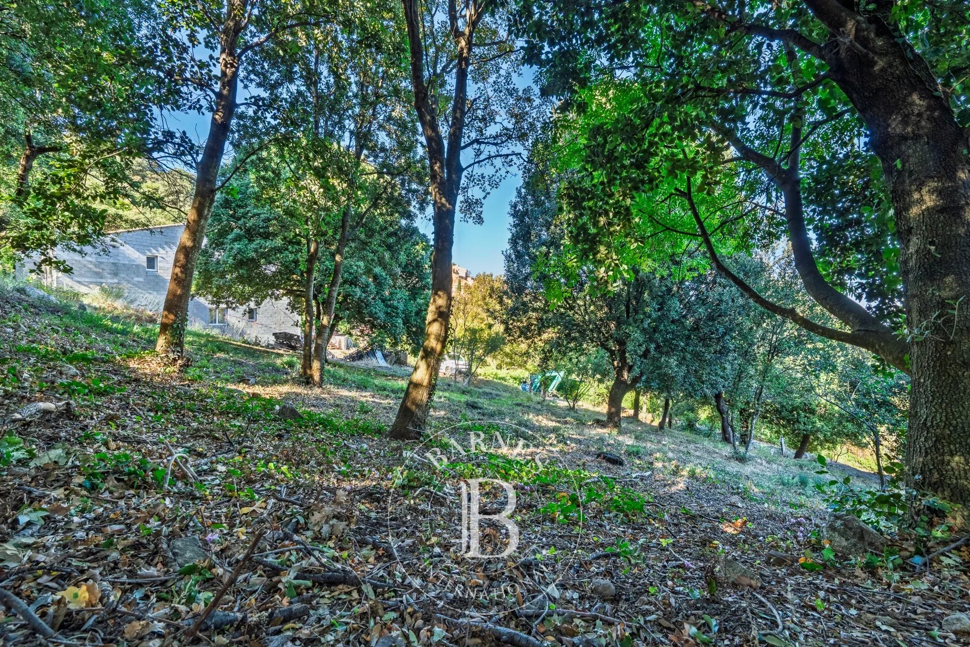 Arazi Occhiatana - picture 4