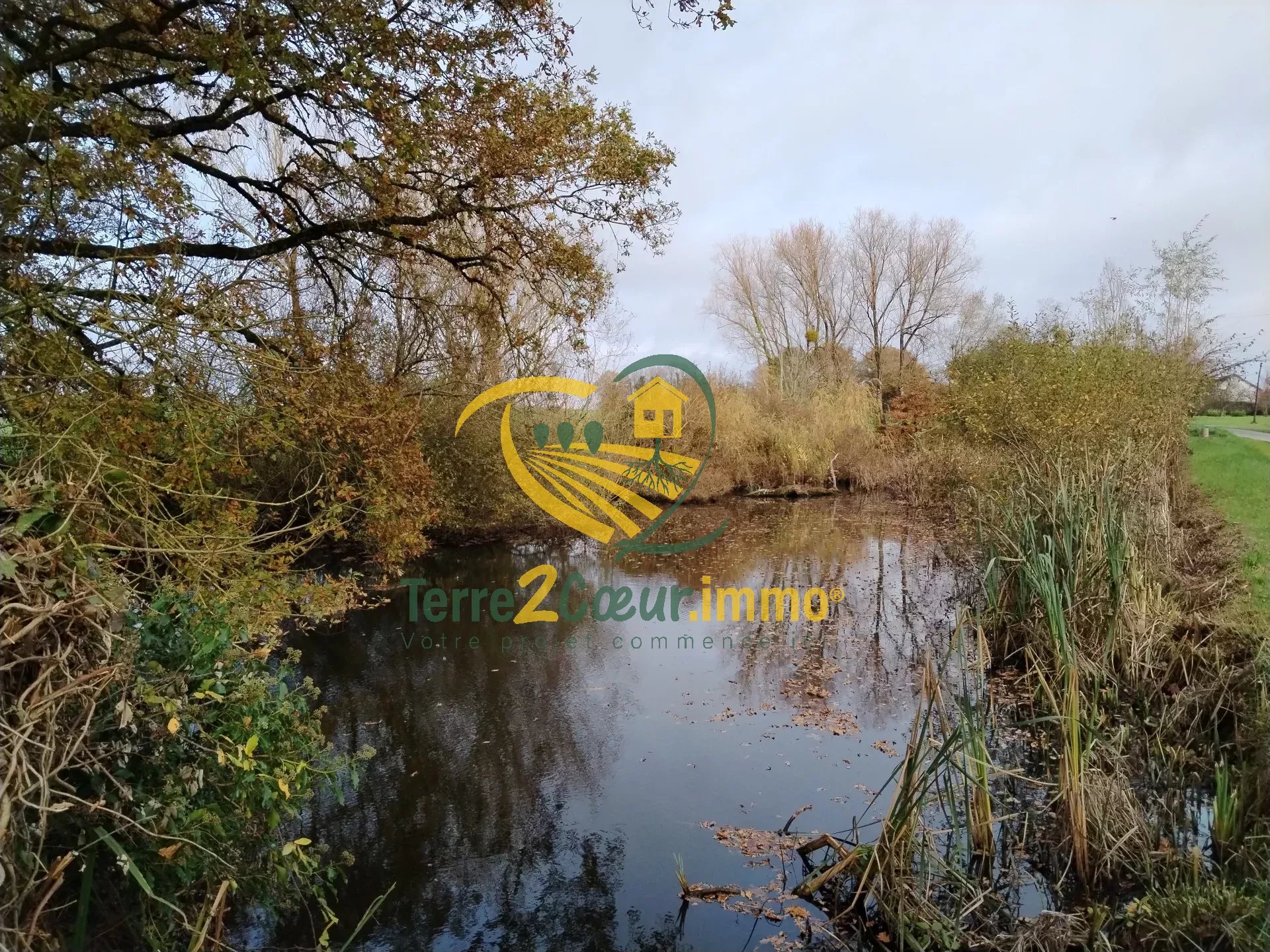 Etang sur terrain 2678m² Saint-Martin d'Auxigny (18110)