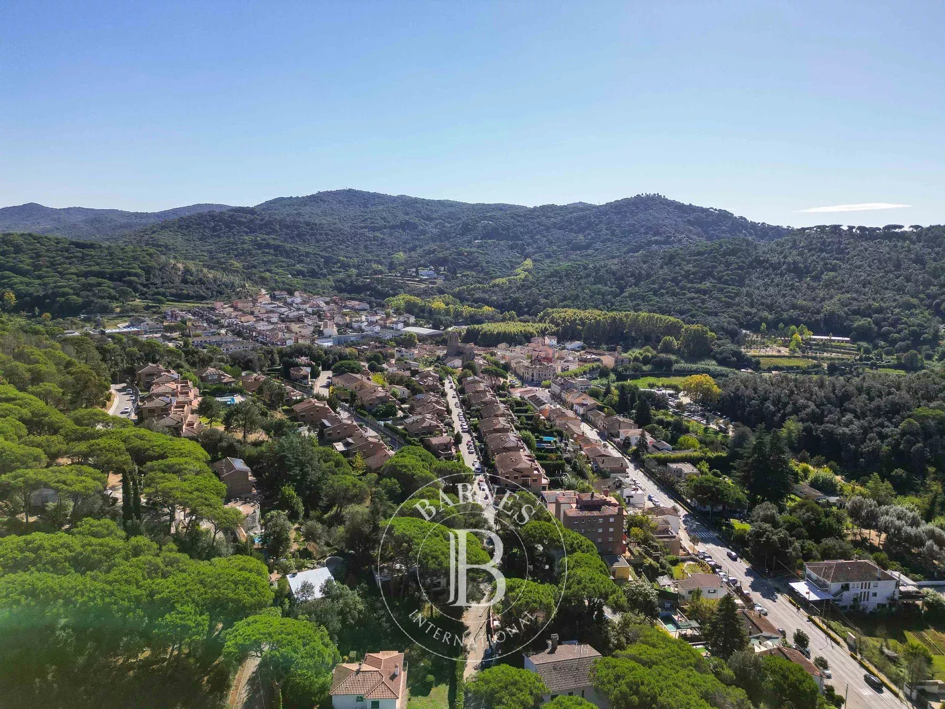 Arazi Dosríus - picture 10