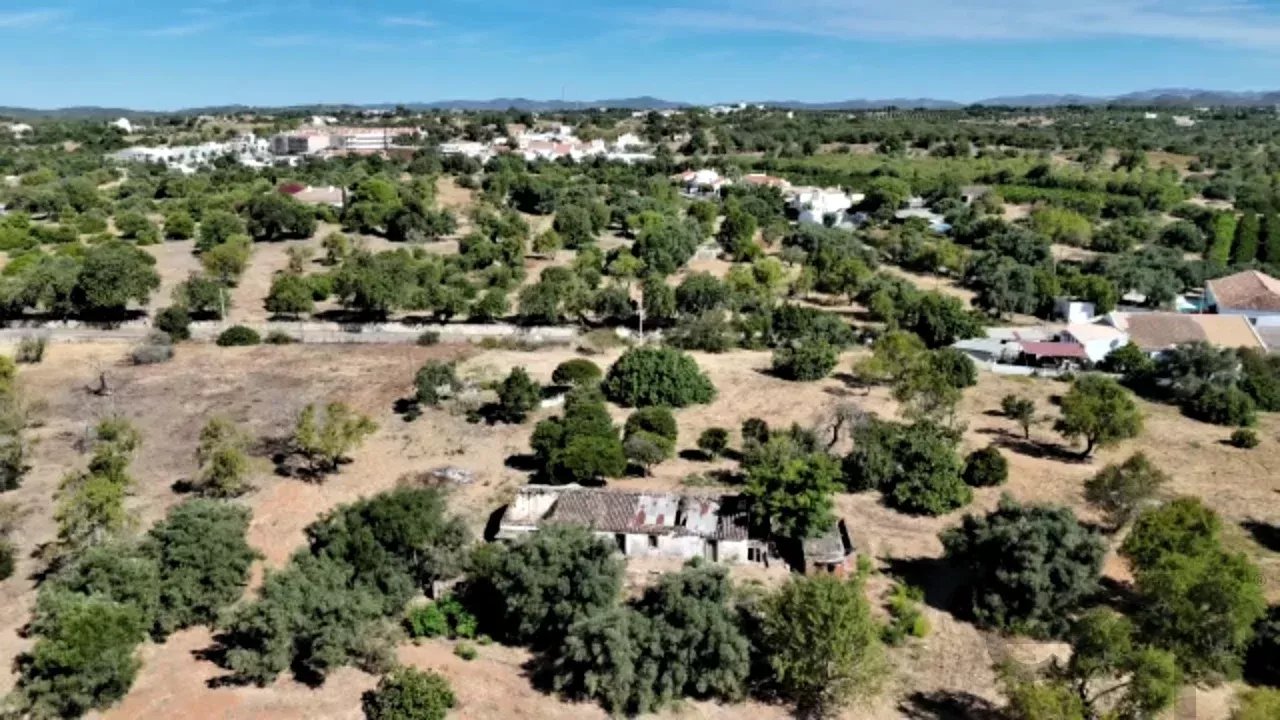 Traditional Countryside Property in Santo Estêvão, Tavira 87172633 image 4