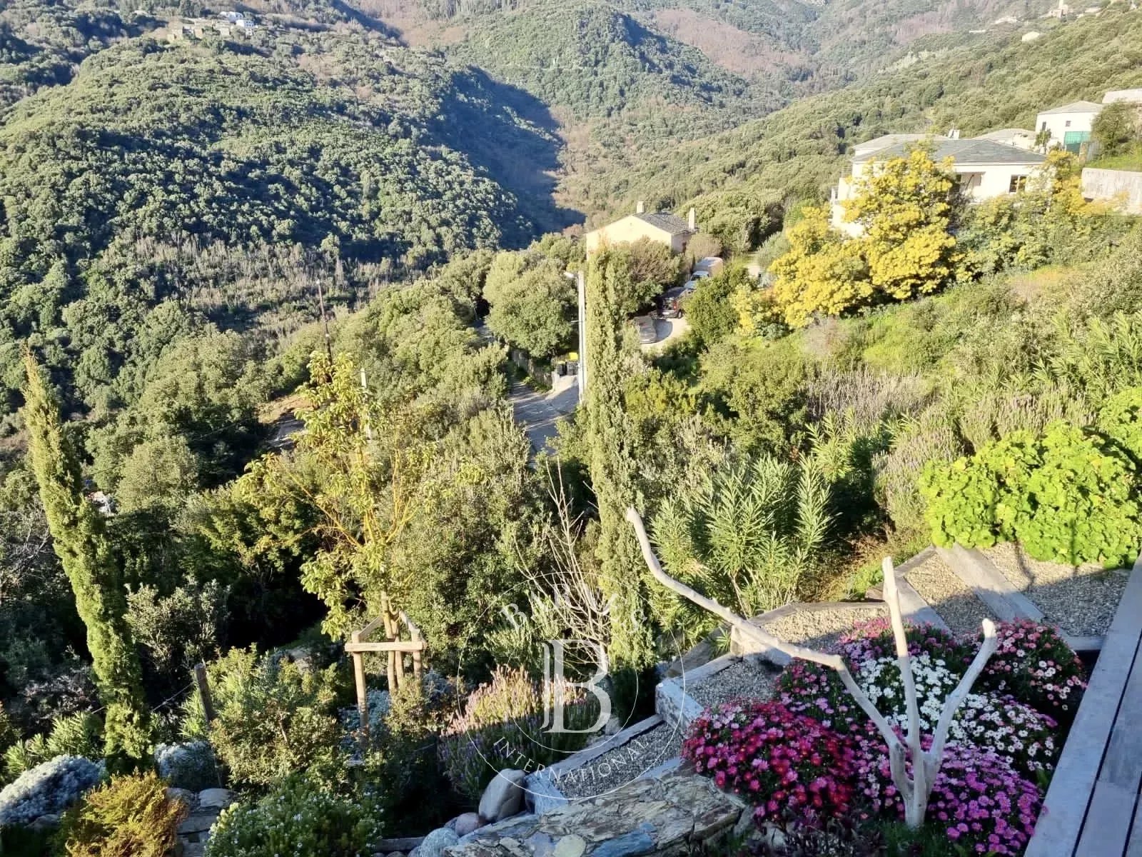 Villa Bastia - picture 18