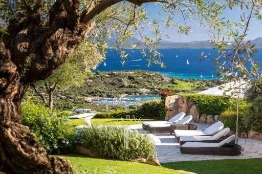 Villa Porto Cervo  -  ref 6756446 (picture 2)