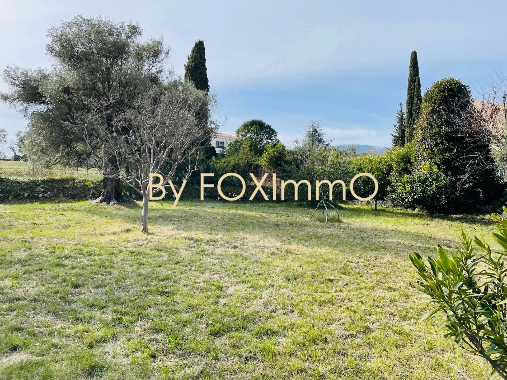 Agence immobilière de Foximmo