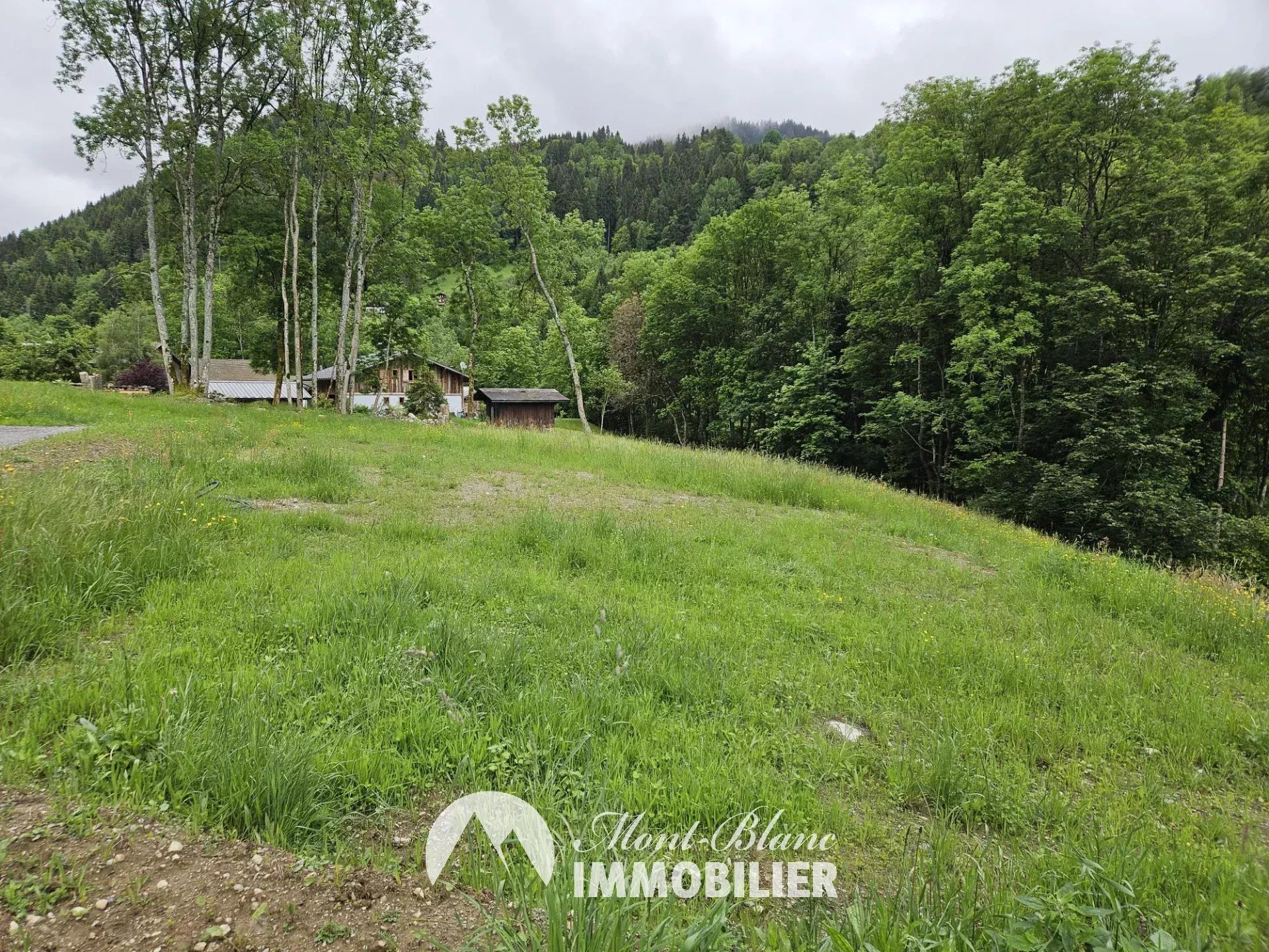 Agence immobilière de SAS MBI