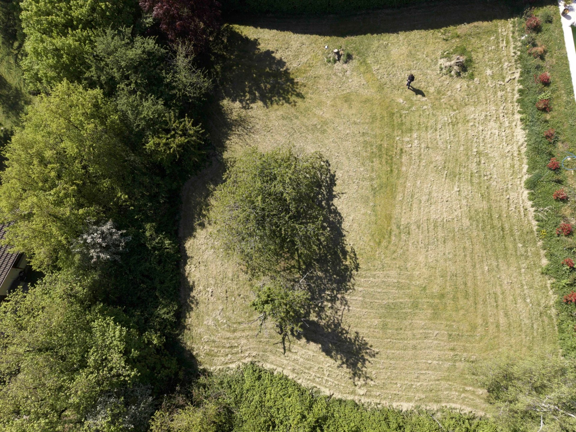 Rare Grand Terrain Dardilly