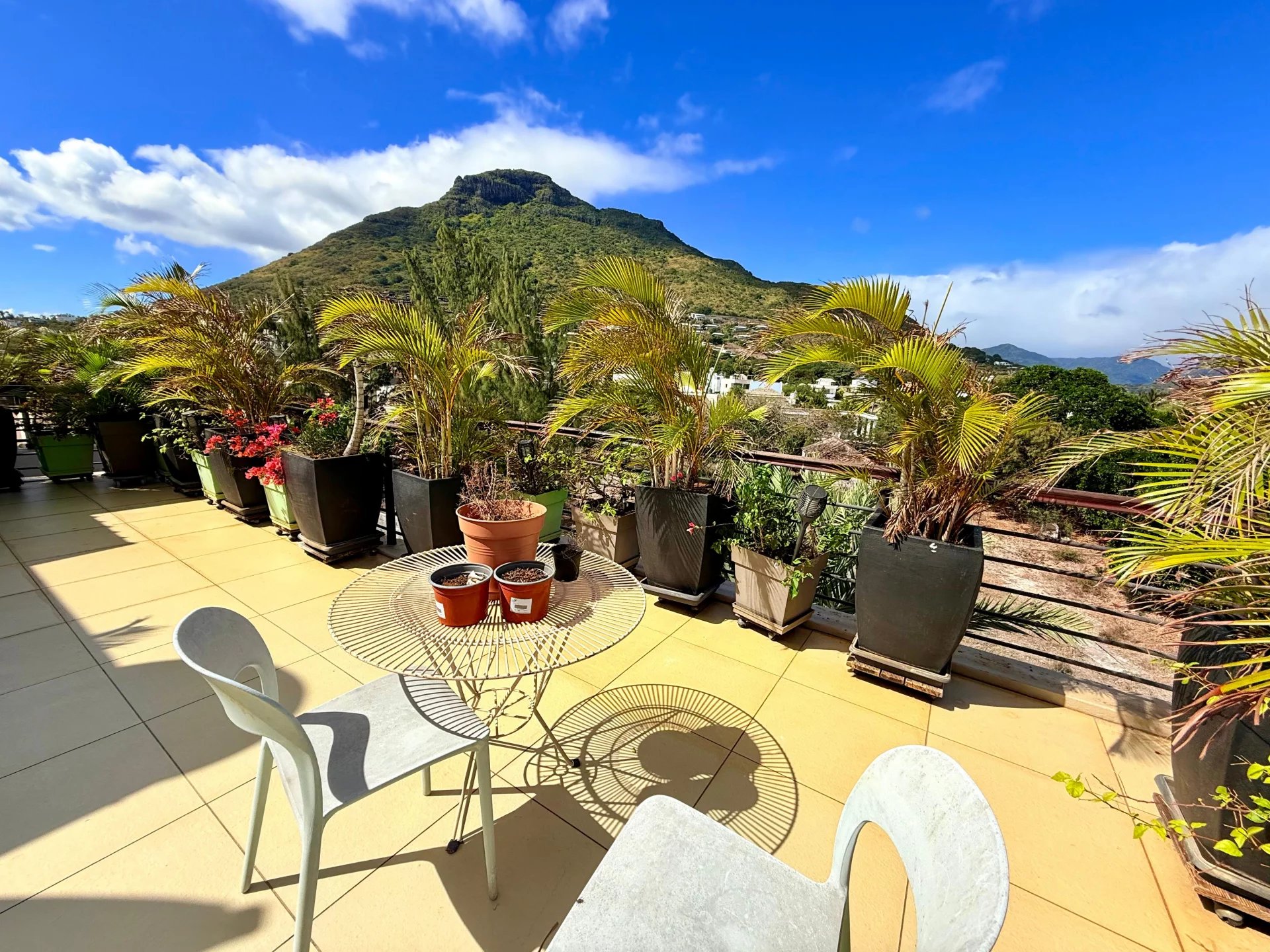 Penthouse Tamarin - picture 21