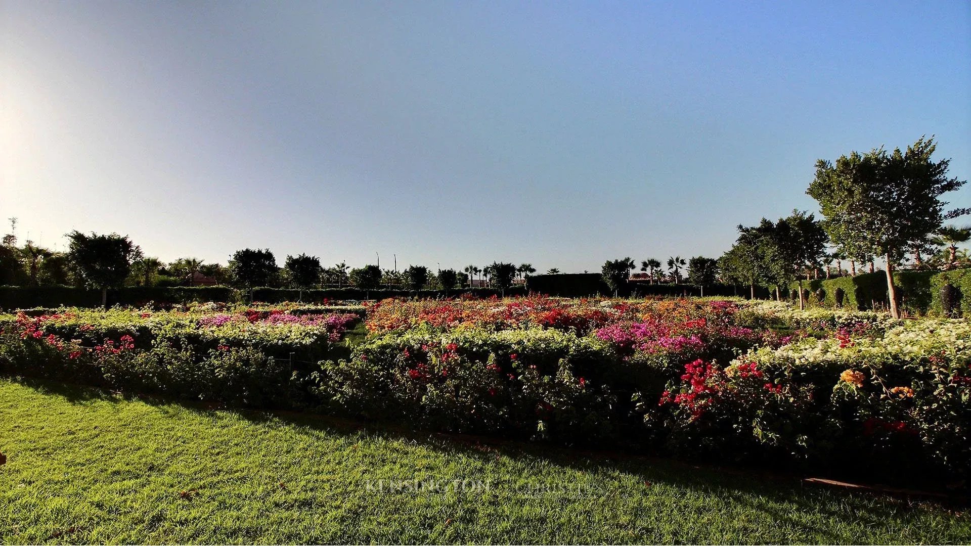 9 Bedroom Villa/Townhouse's Image 7