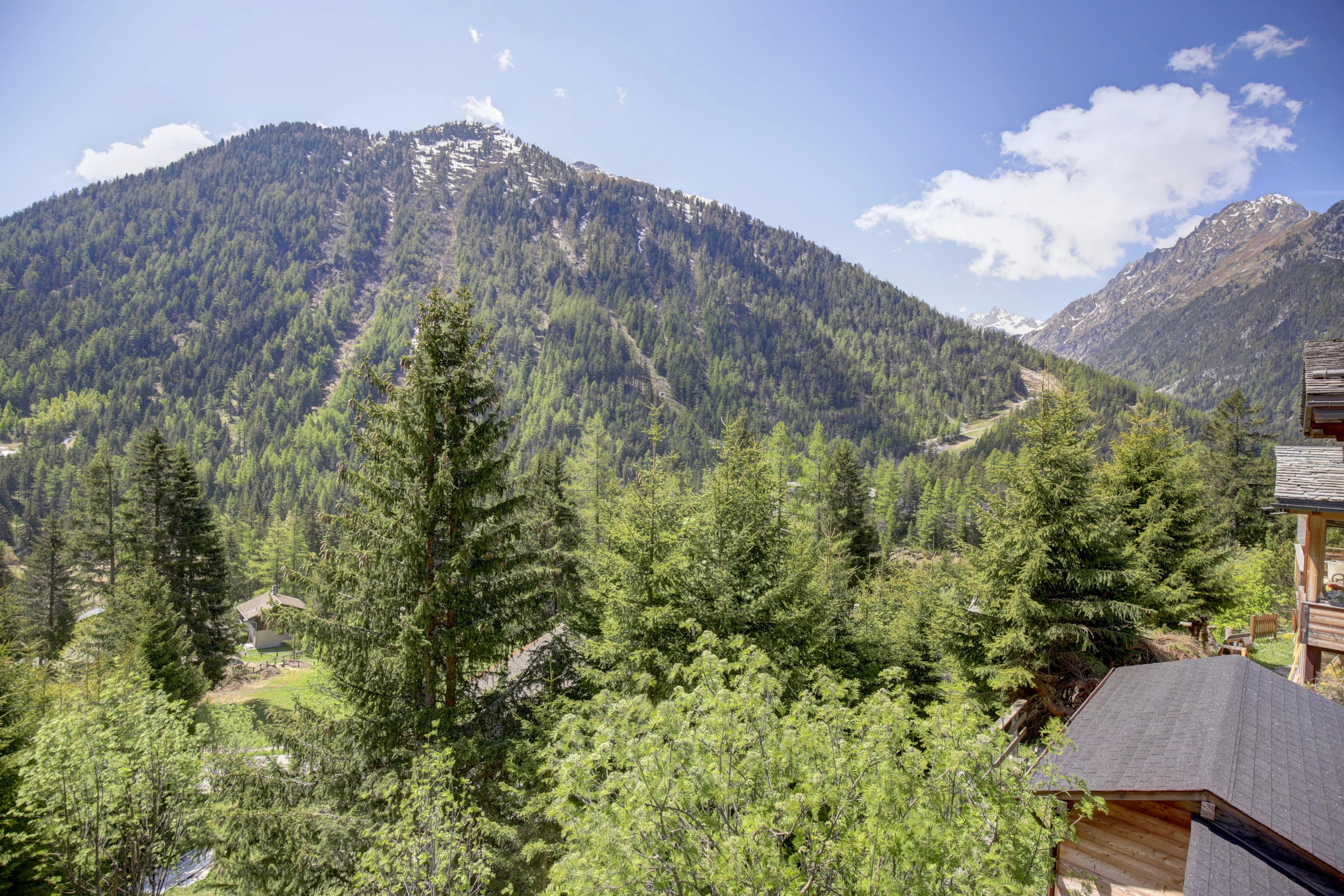 Au cœur de la forêt, belle maison mitoyenne à Champex-Lac !