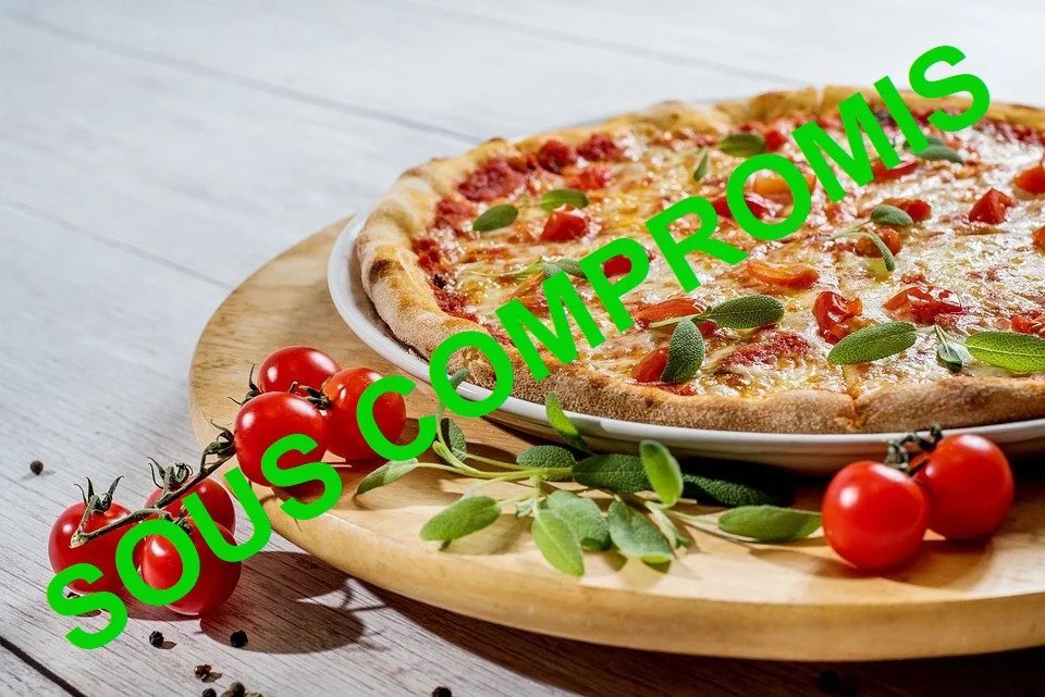 AIX LES BAINS A VENDRE DAB CENTRE VILLE avec matériel en place