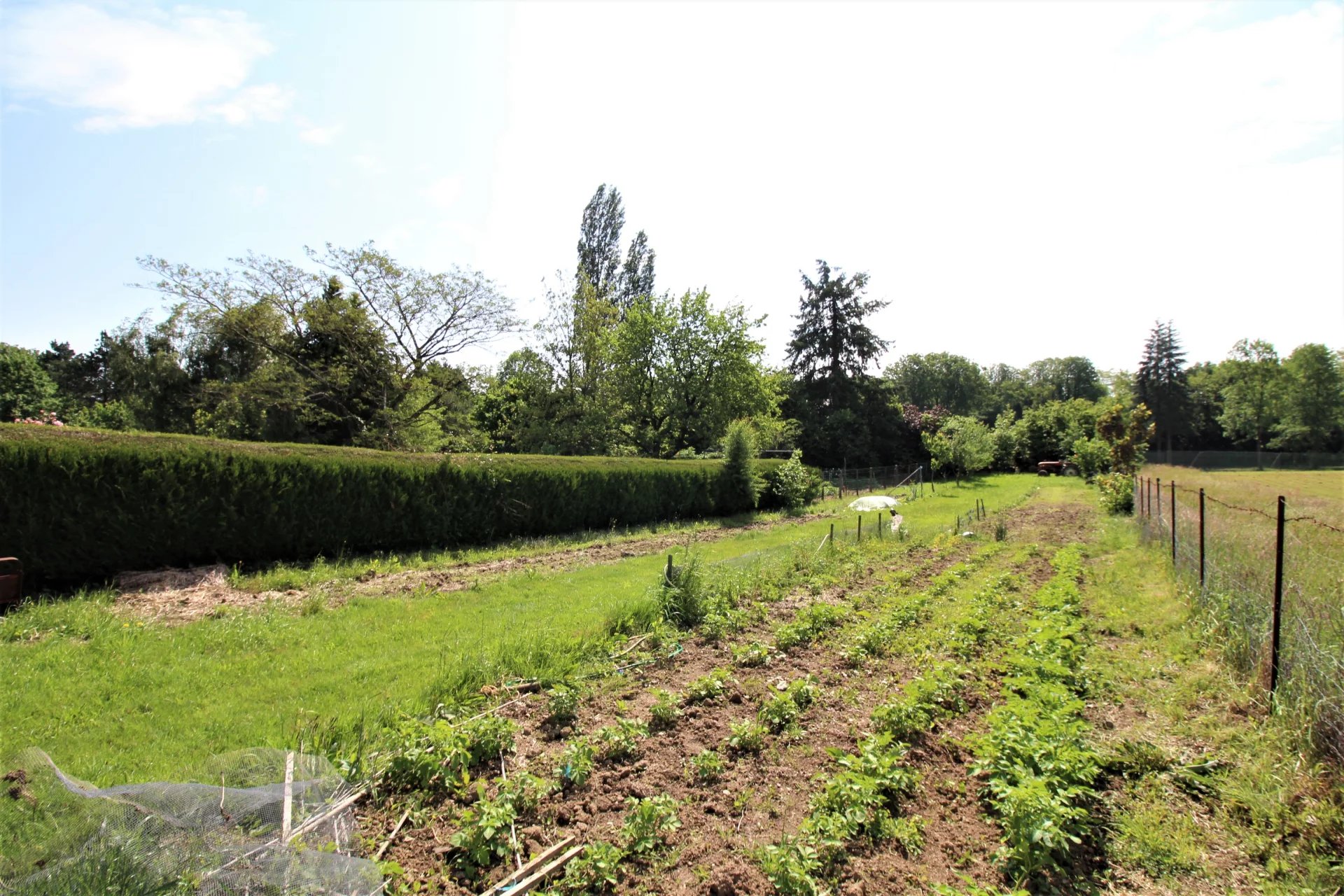 Vente Terrain Cerizay