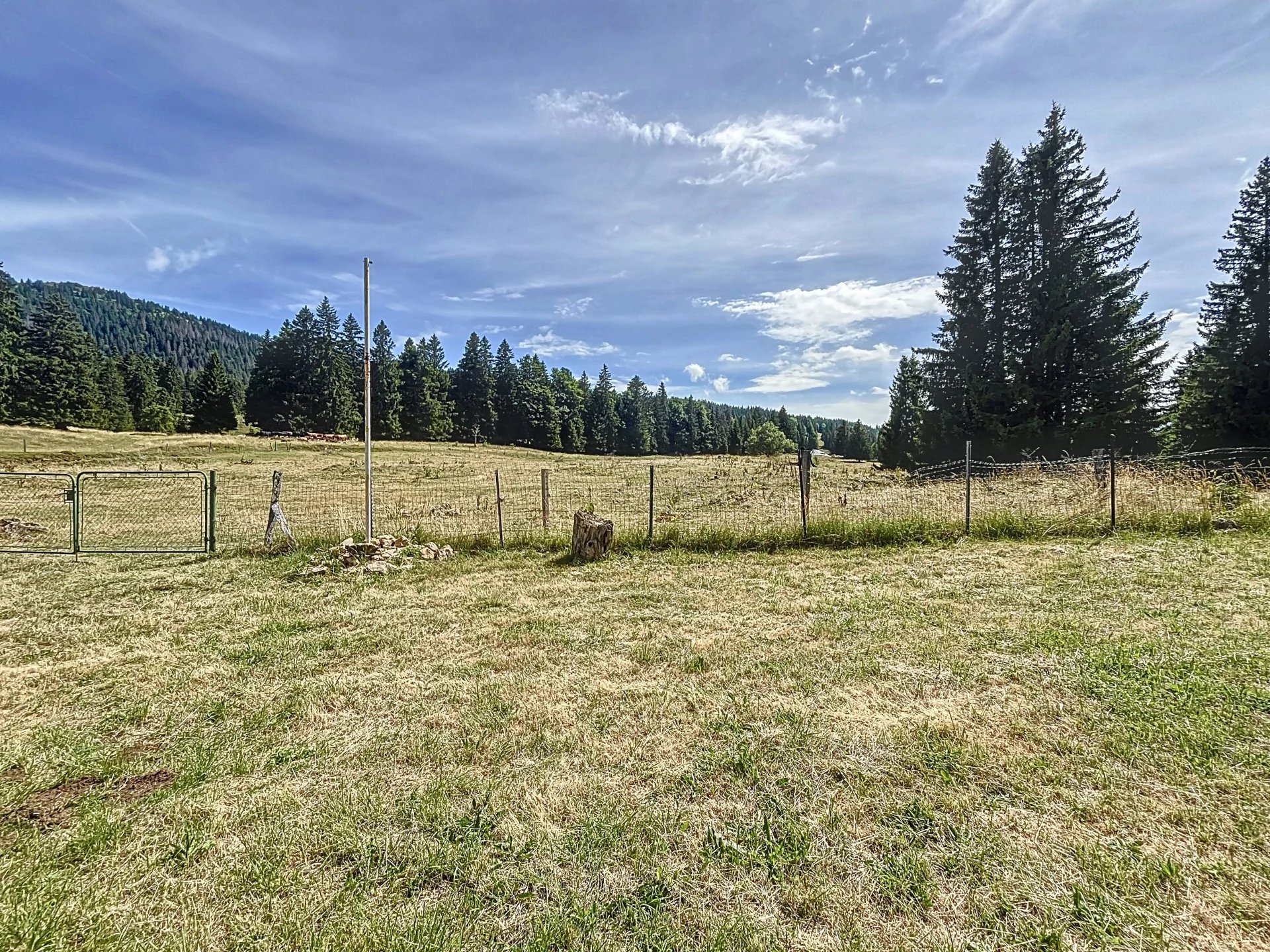 Chalet d'alpage en DDP