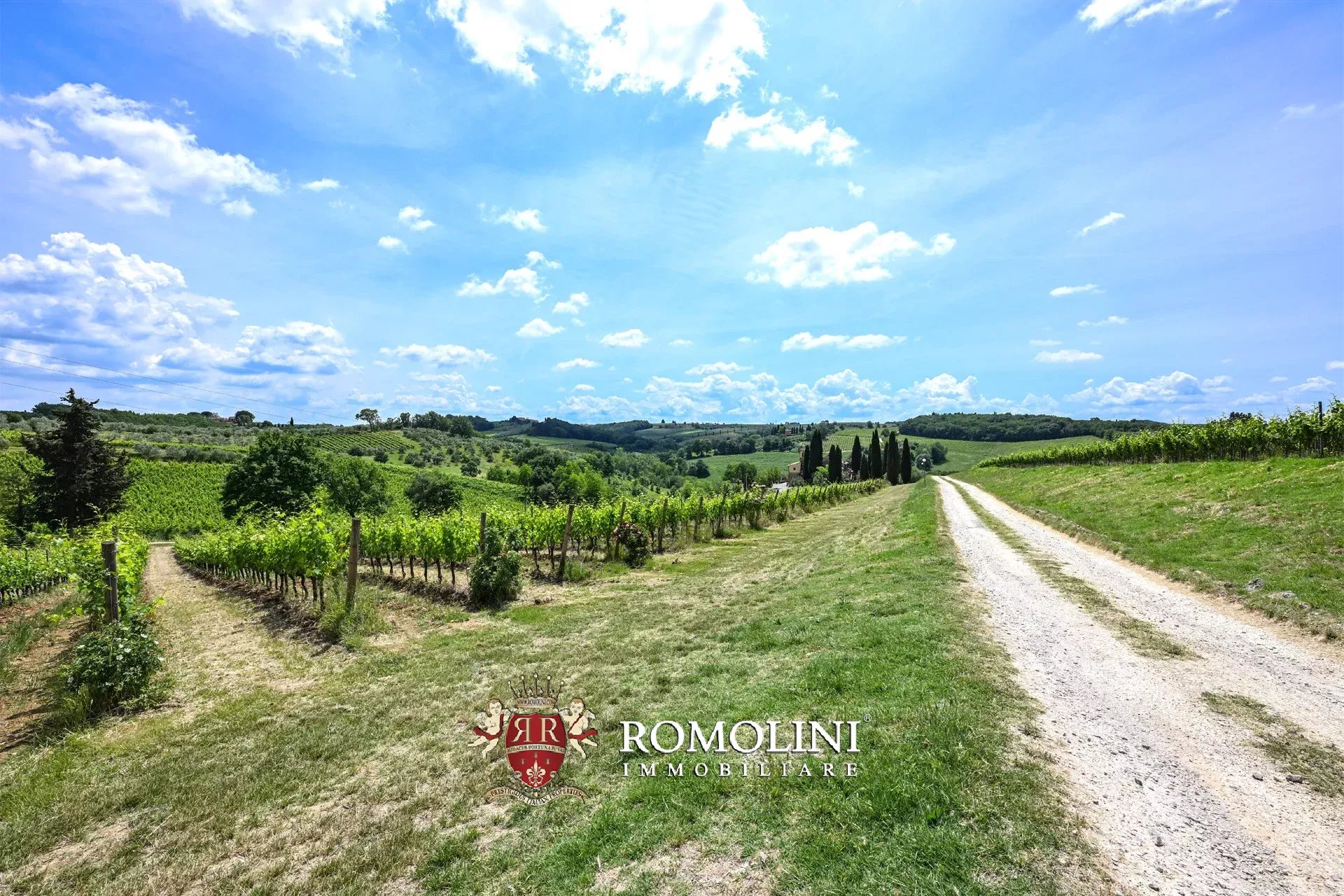 7 Bedroom Vineyard's Image 9